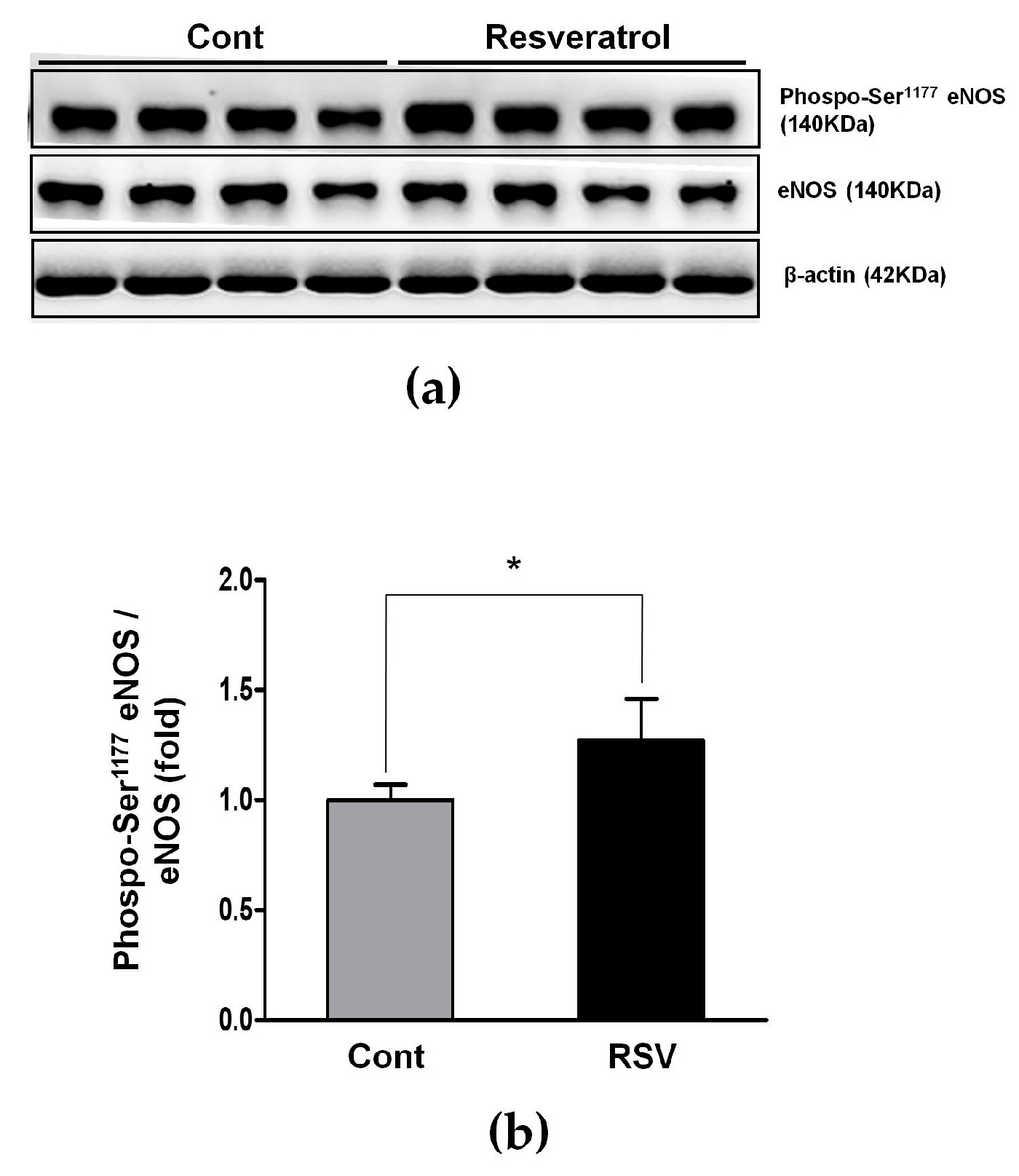 Nutrients 10 01741 g011