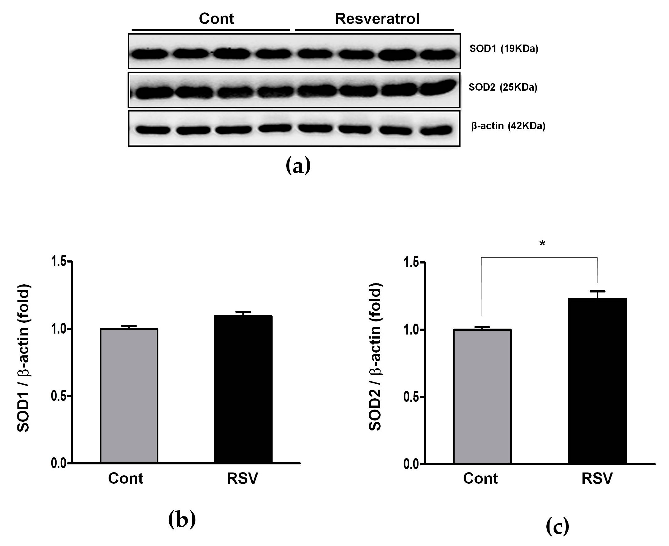 Nutrients 10 01741 g012