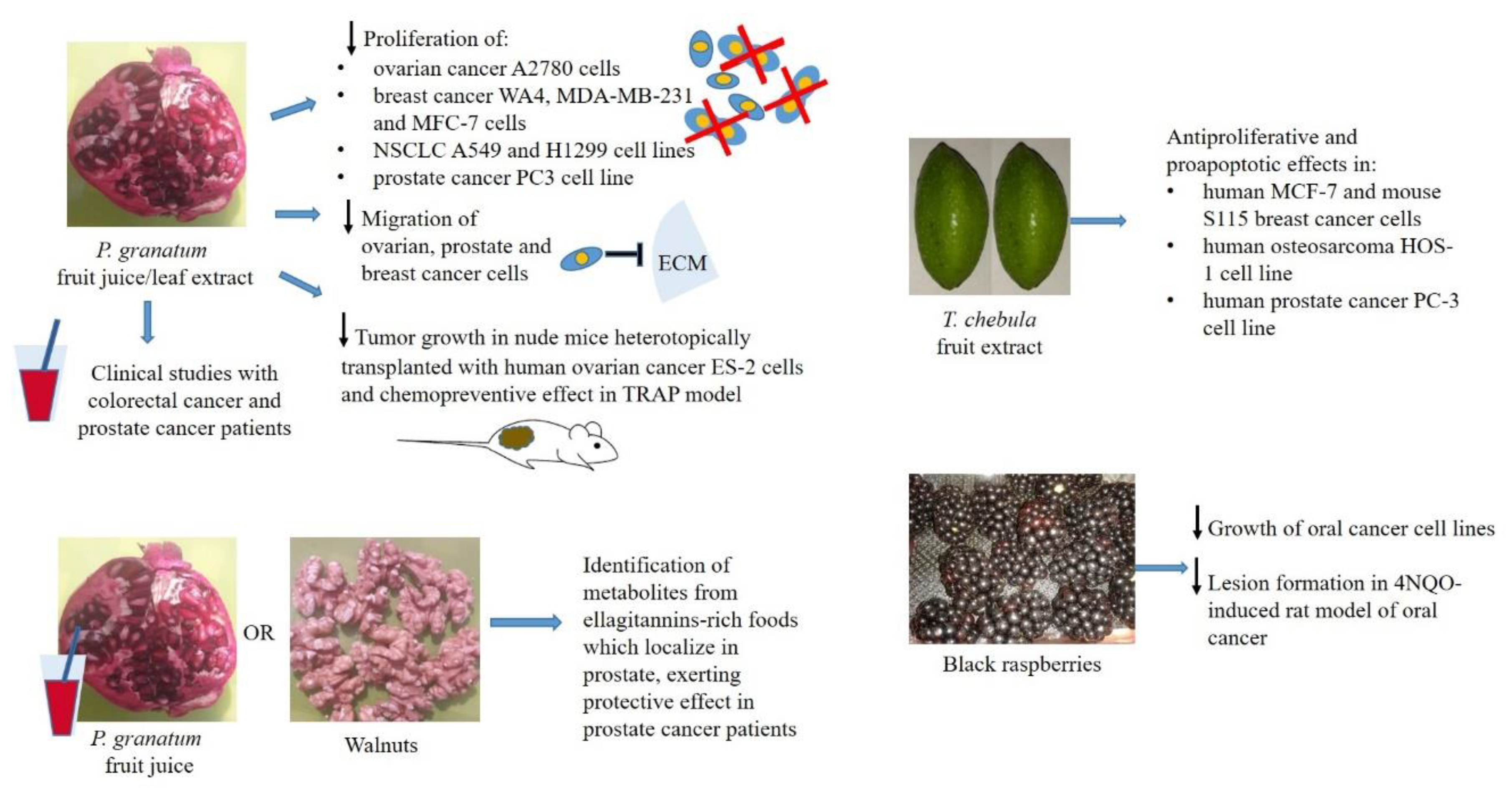 Nutrients 10 01756 g001
