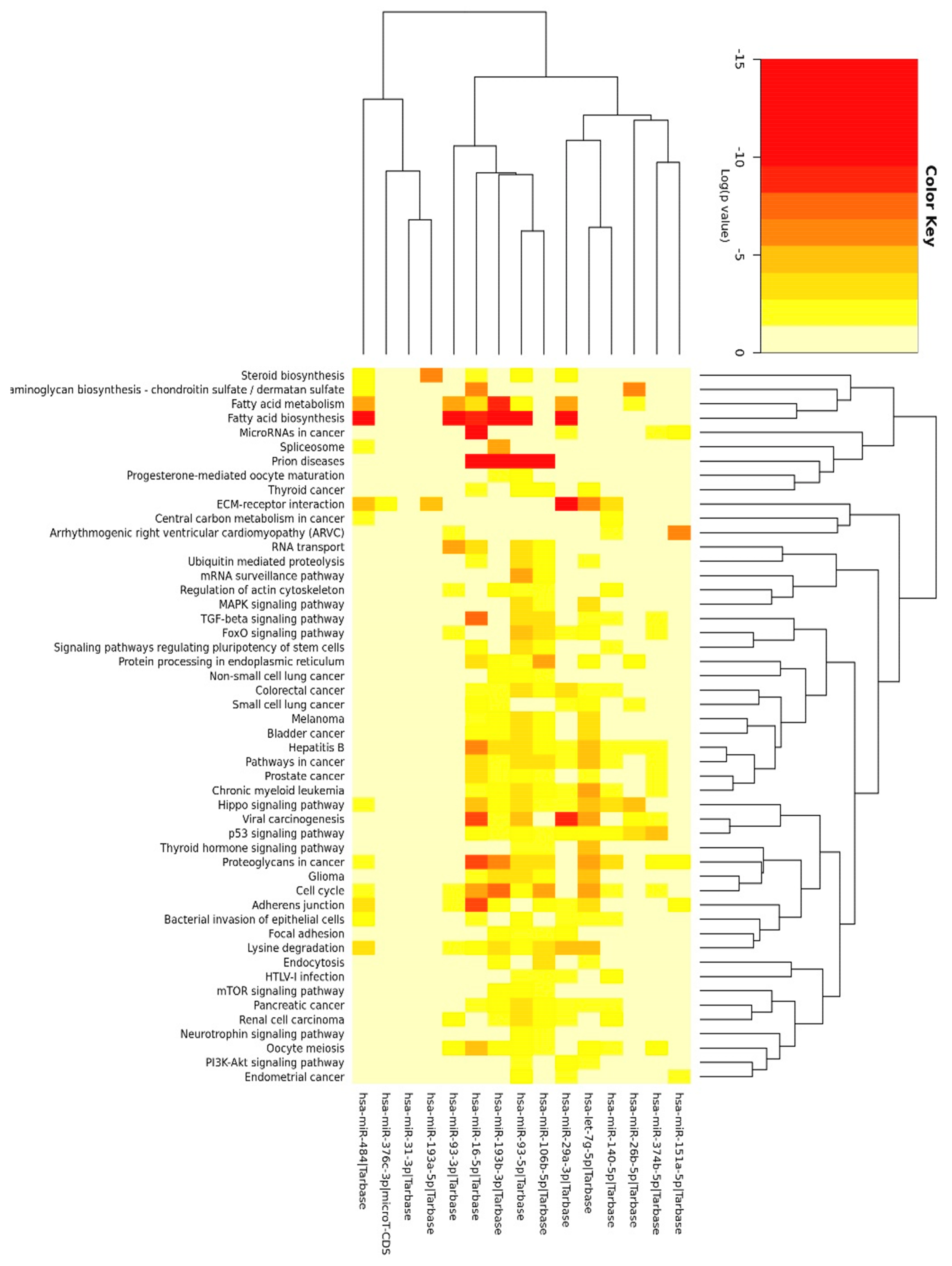 Nutrients 10 01774 g006 Nutrients 10 01774 g006