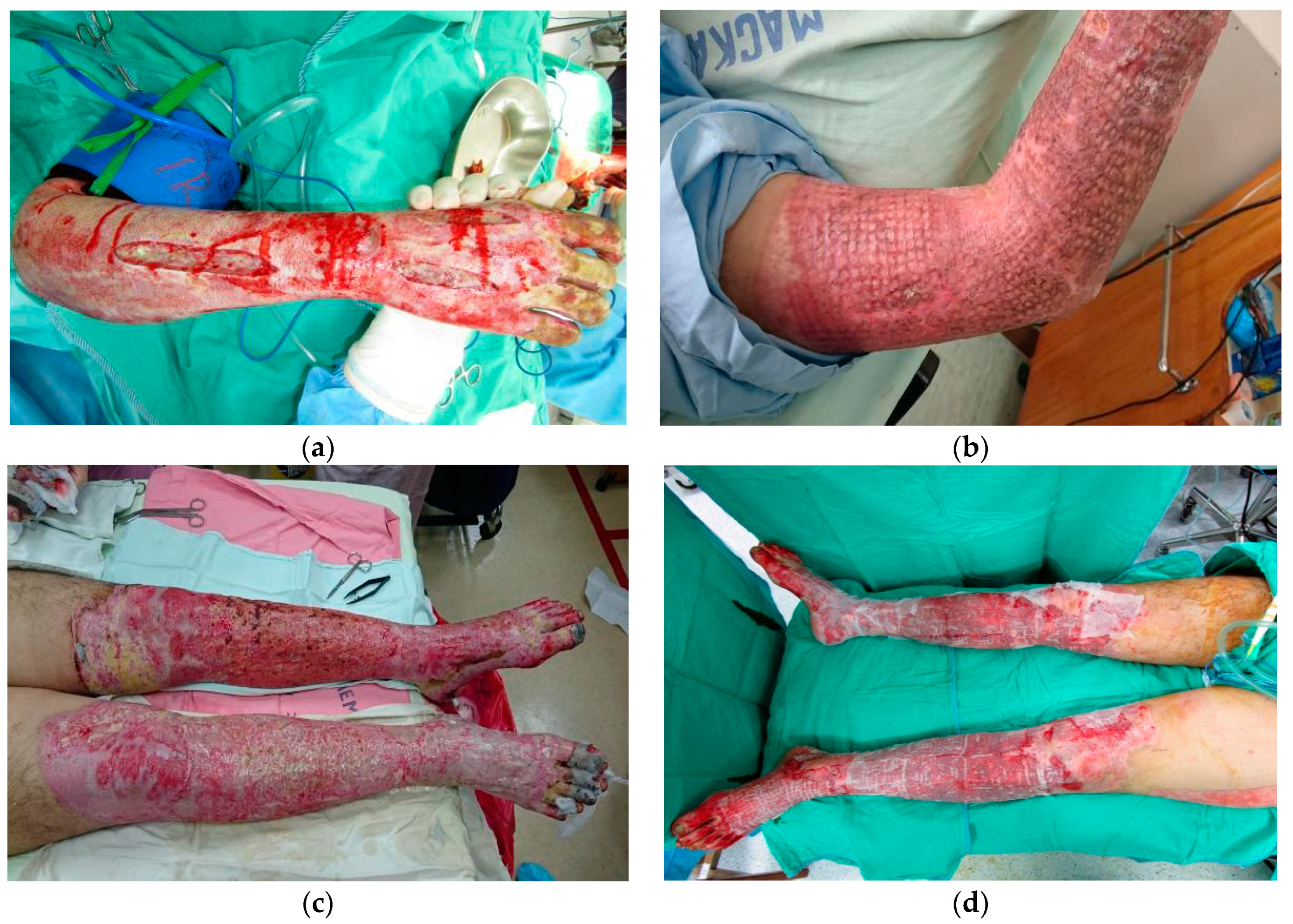 Nutrients 10 01782 g001