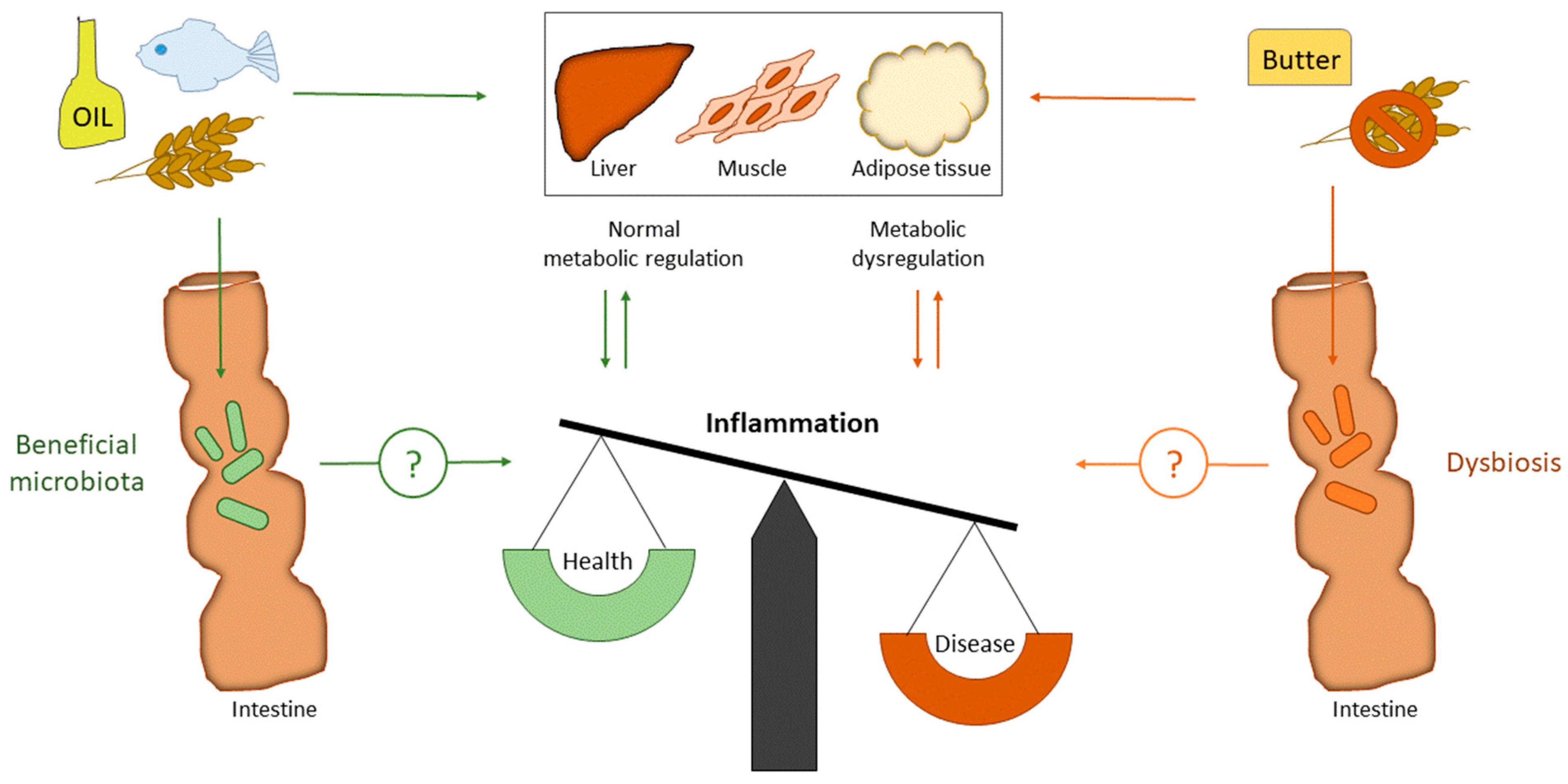 Nutrients 10 01783 g001 Nutrients 10 01783 g001