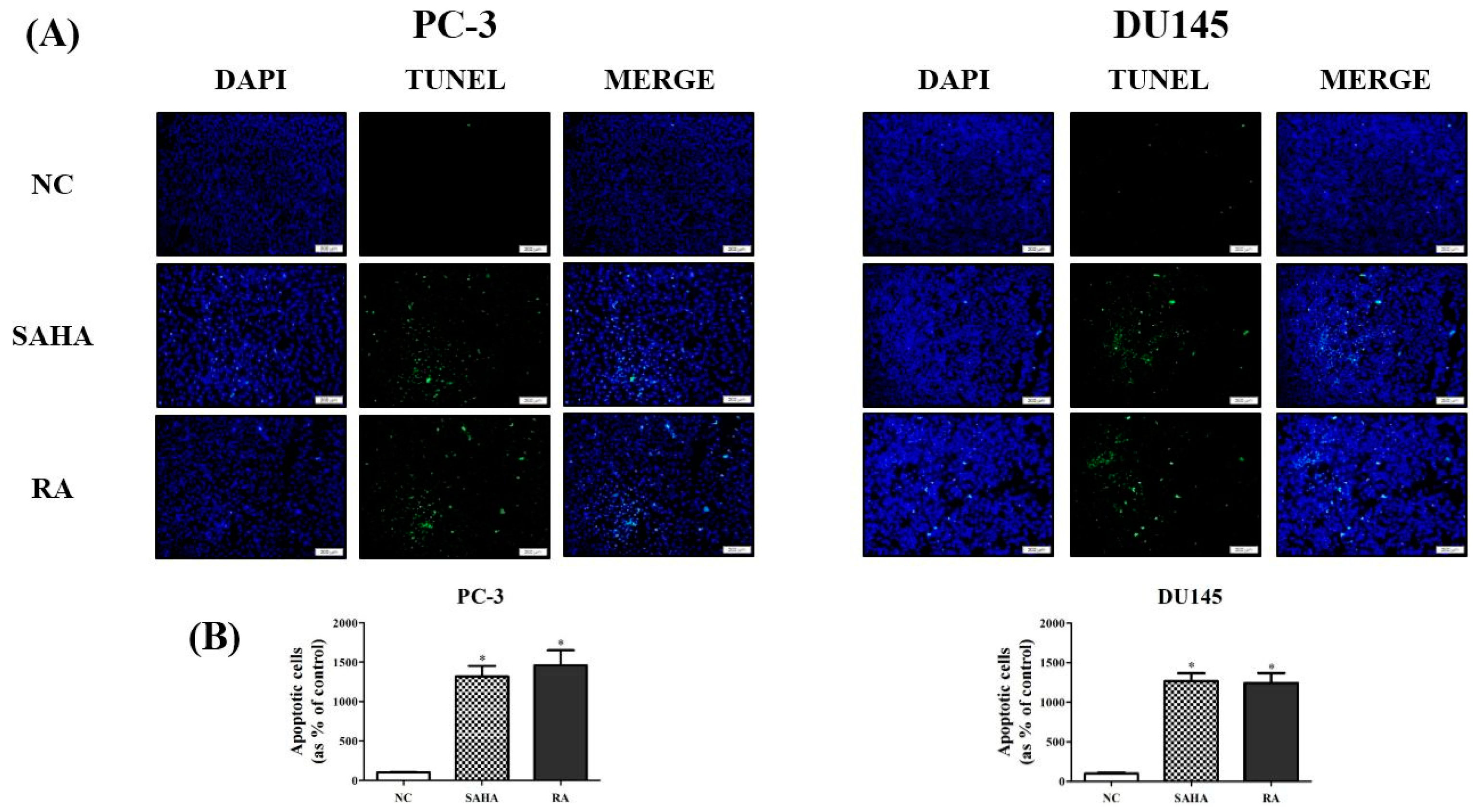 Nutrients 10 01784 g004 Nutrients 10 01784 g004