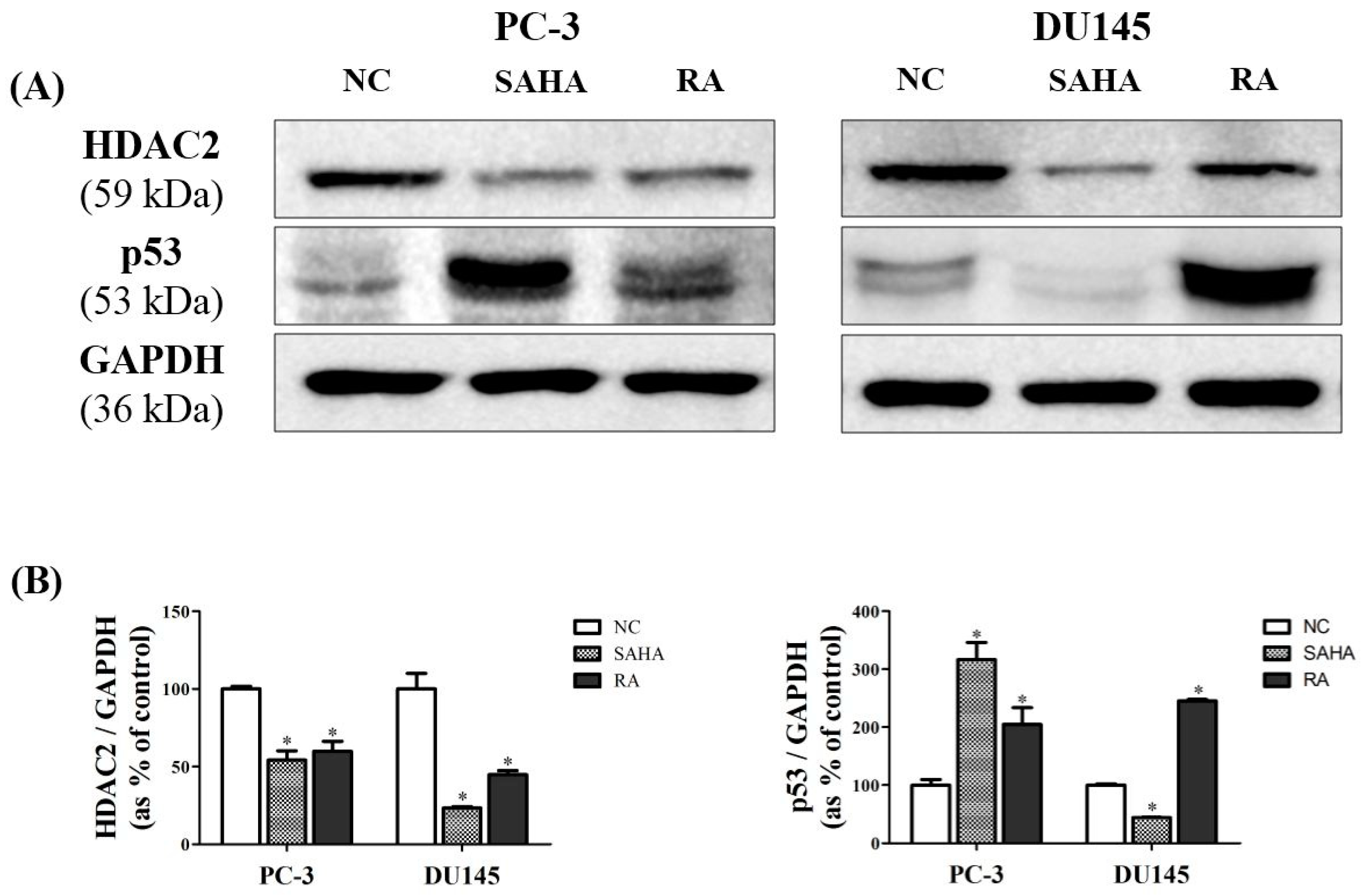 Nutrients 10 01784 g005 Nutrients 10 01784 g005