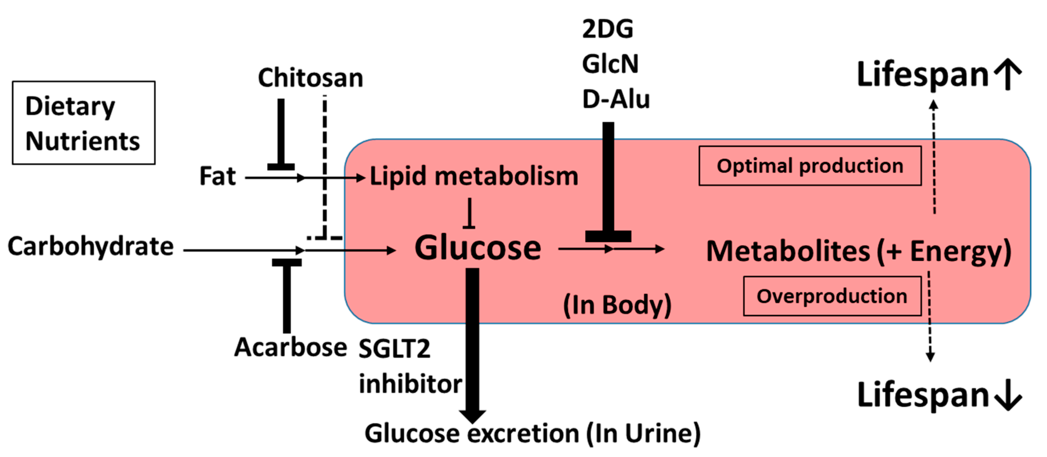Nutrients 10 01821 g004