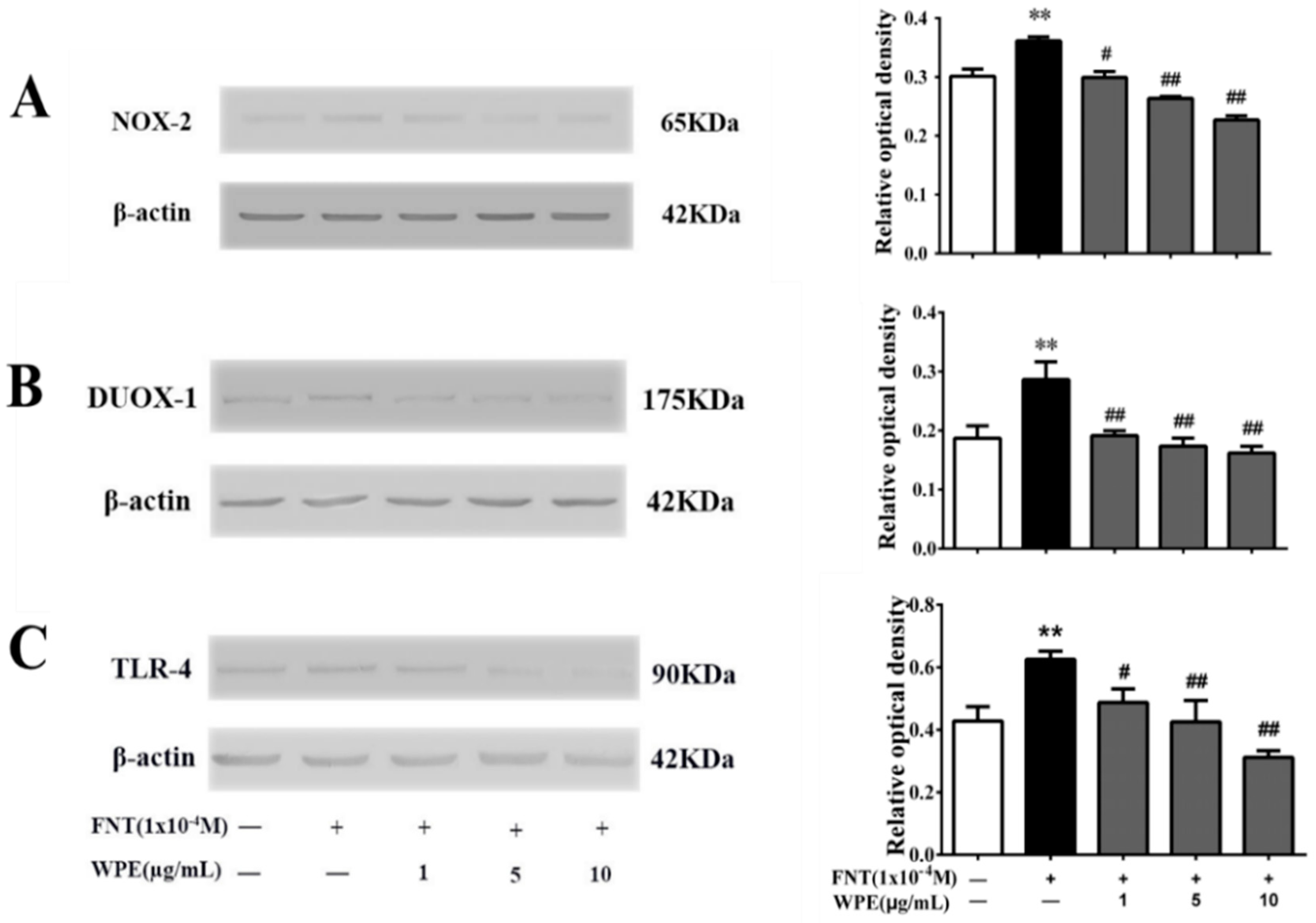 Nutrients 10 01838 g007