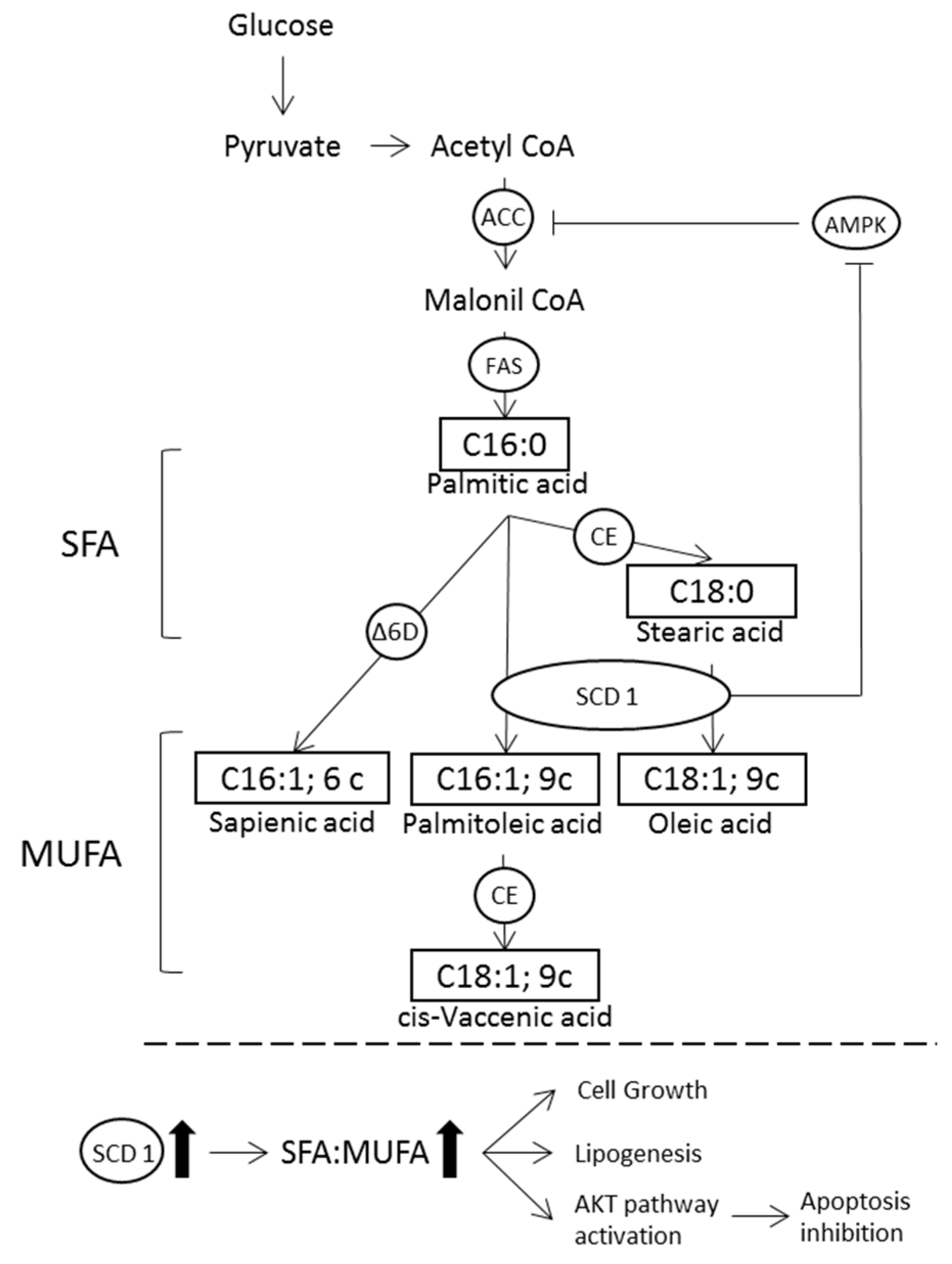 Nutrients 10 01853 g001