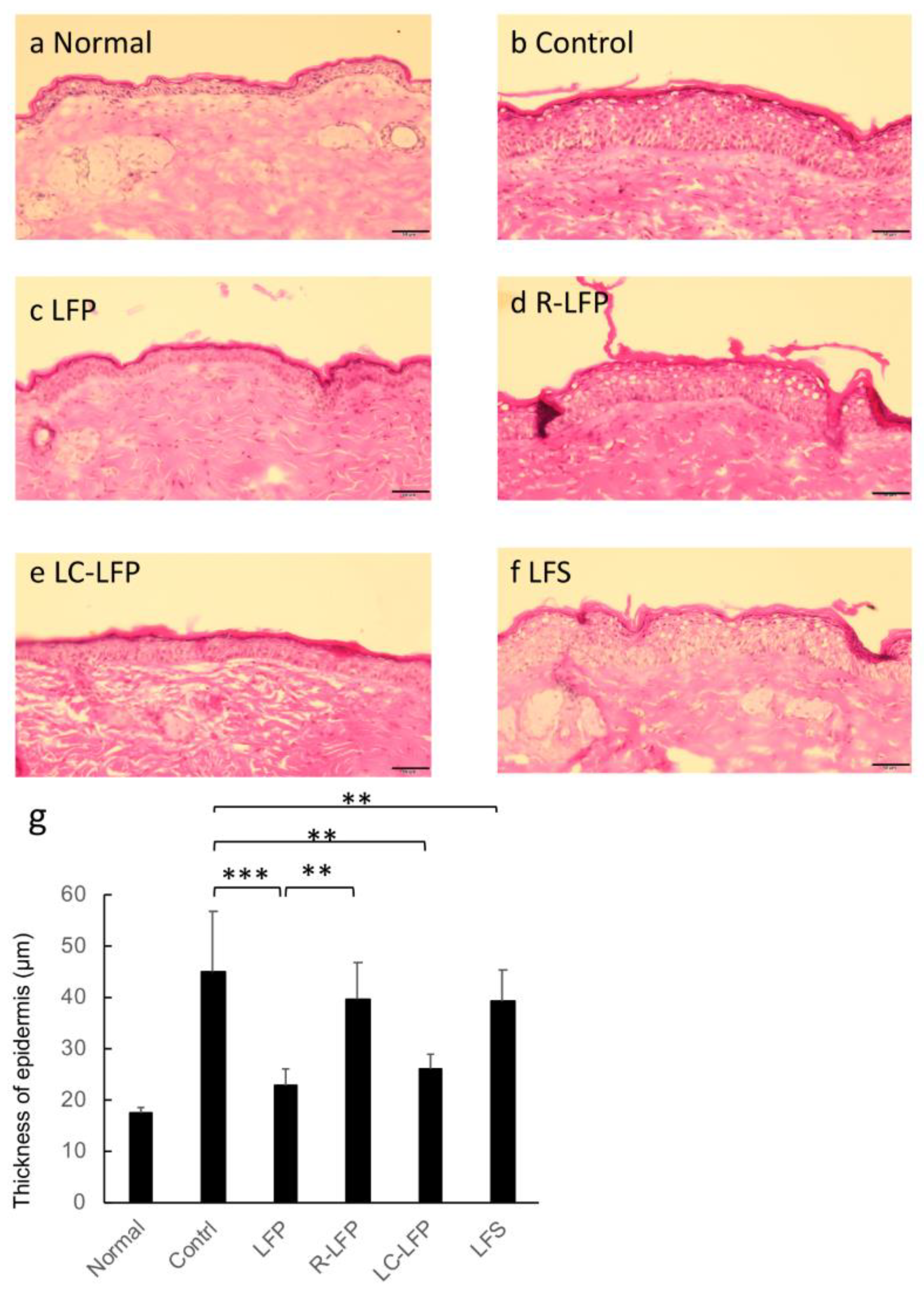 Nutrients 10 01858 g006 Nutrients 10 01858 g006