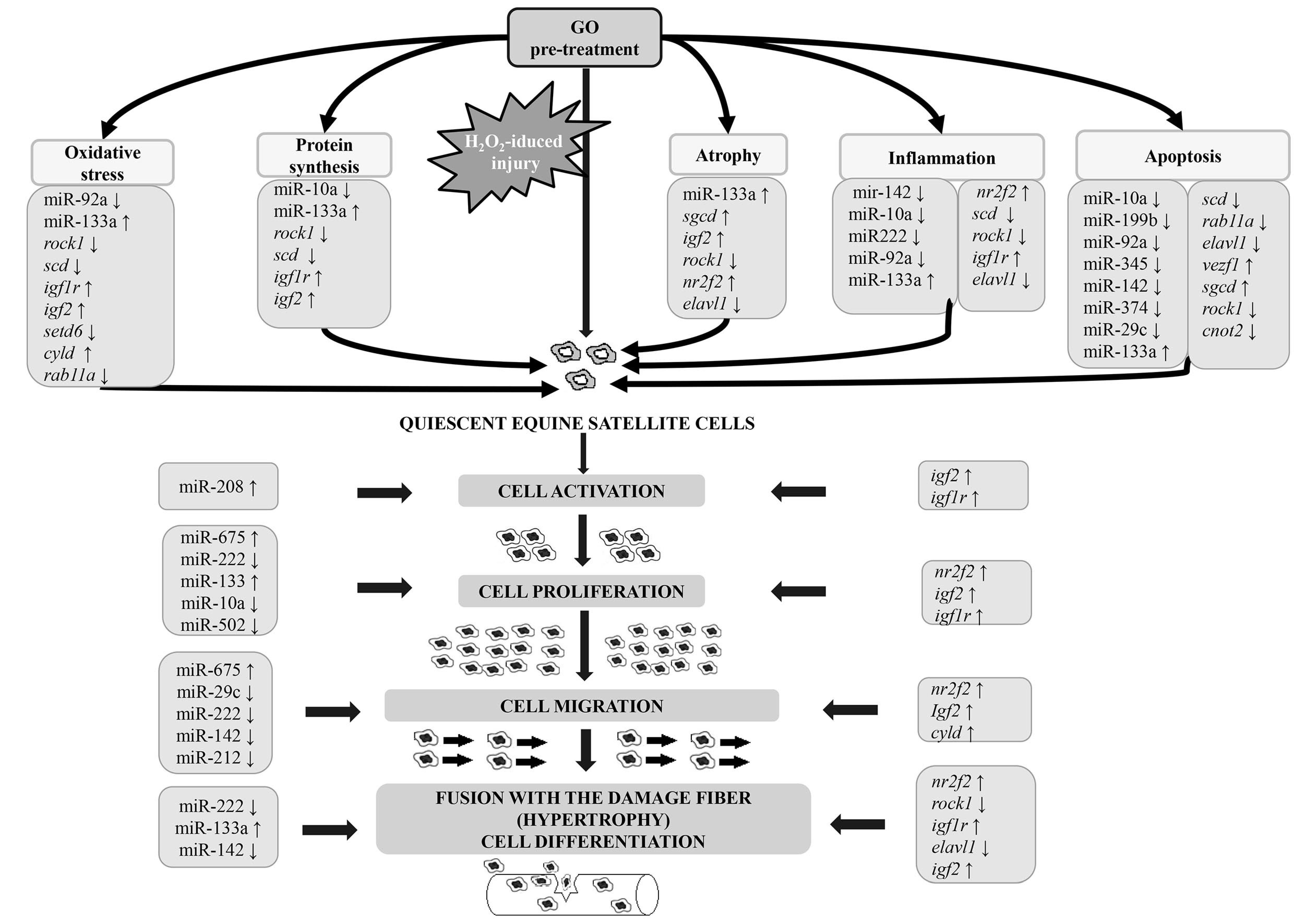 Nutrients 10 01871 g009