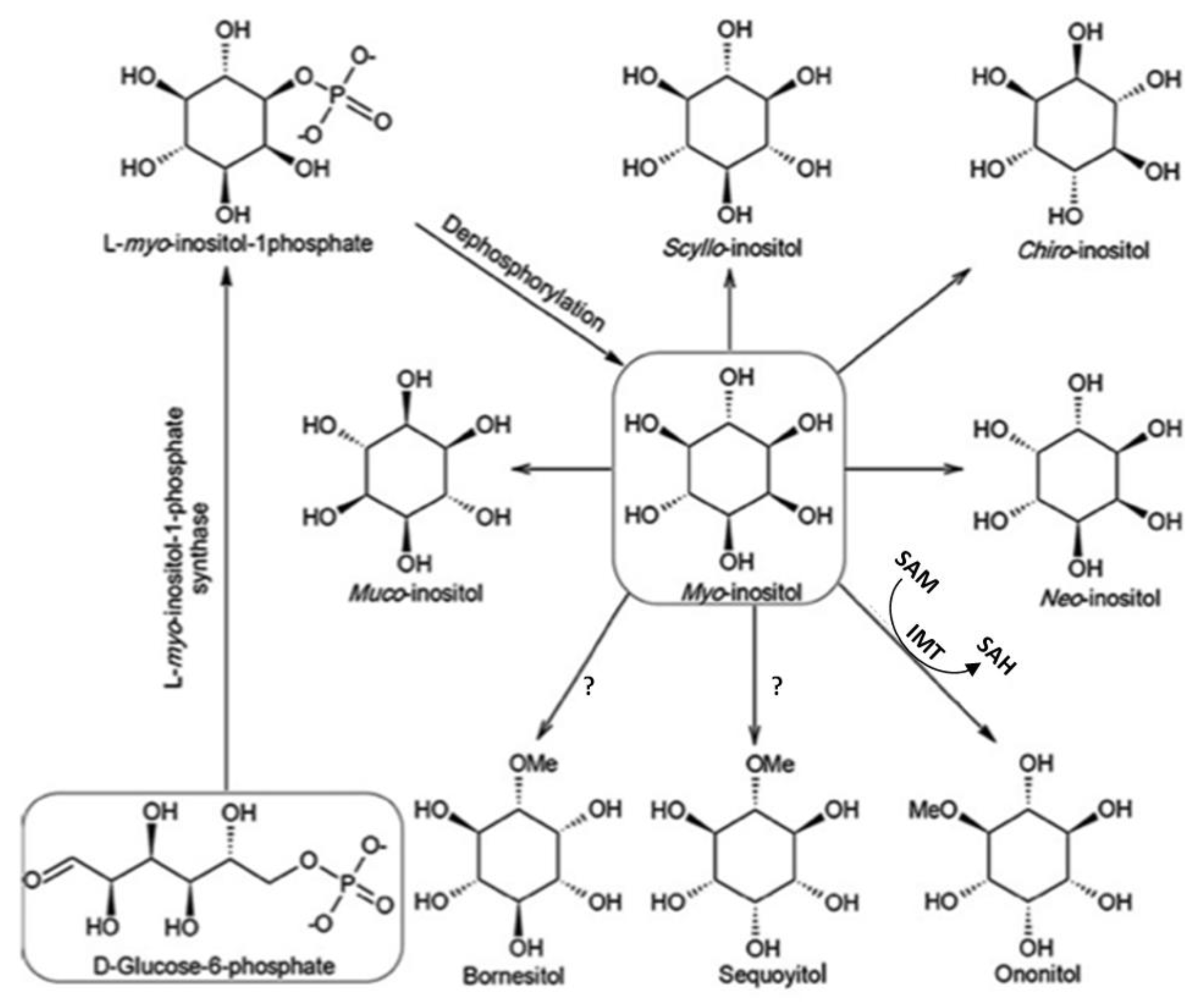 Nutrients 10 01891 g002 Nutrients 10 01891 g002