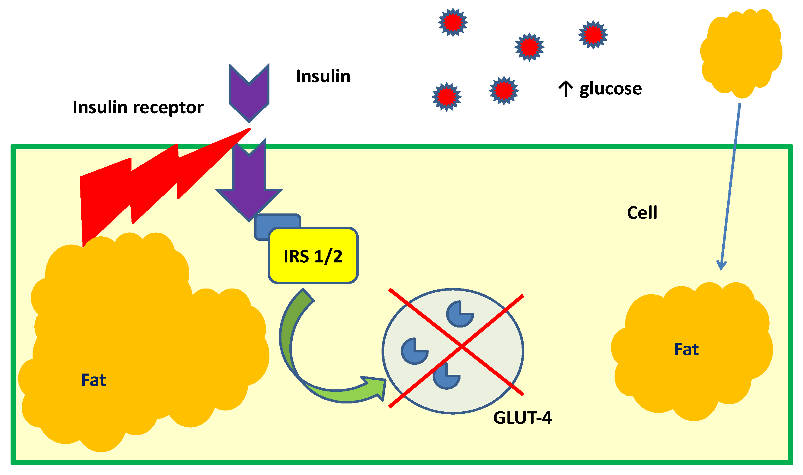 Nutrients 10 01891 g003 Nutrients 10 01891 g003