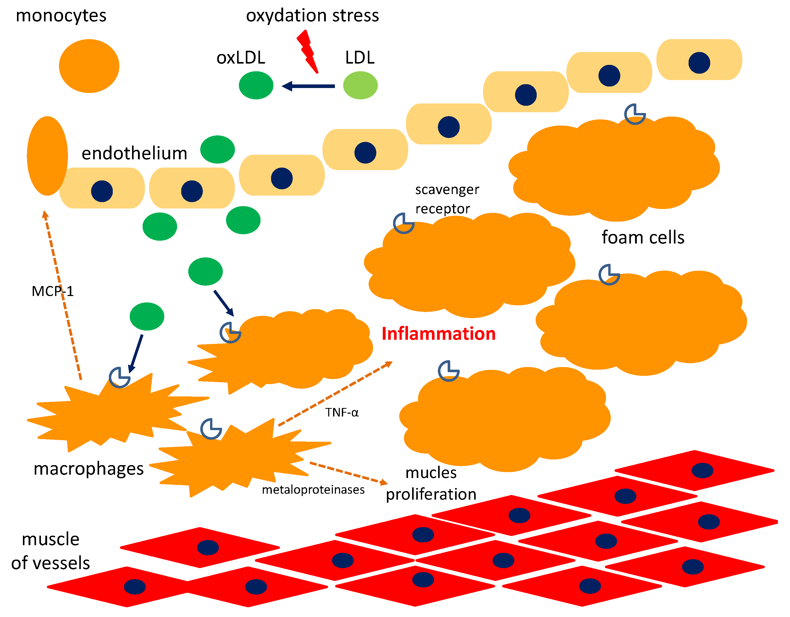 Nutrients 10 01891 g005 Nutrients 10 01891 g005