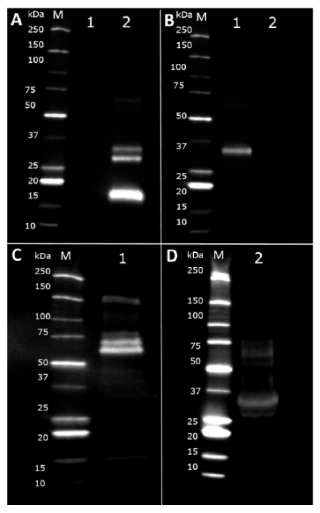 Nutrients 10 01903 g008 Nutrients 10 01903 g008