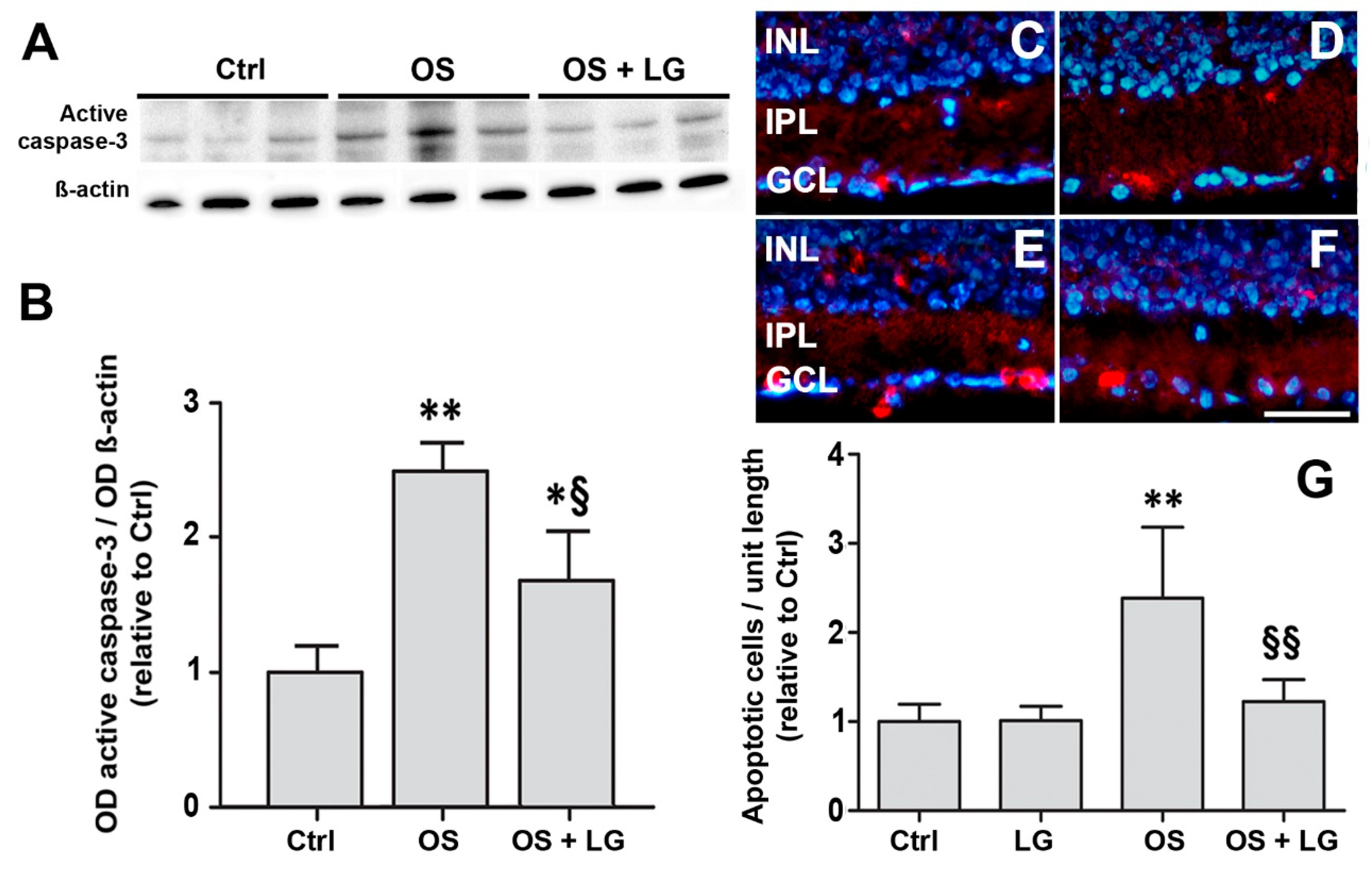 Nutrients 10 01932 g002