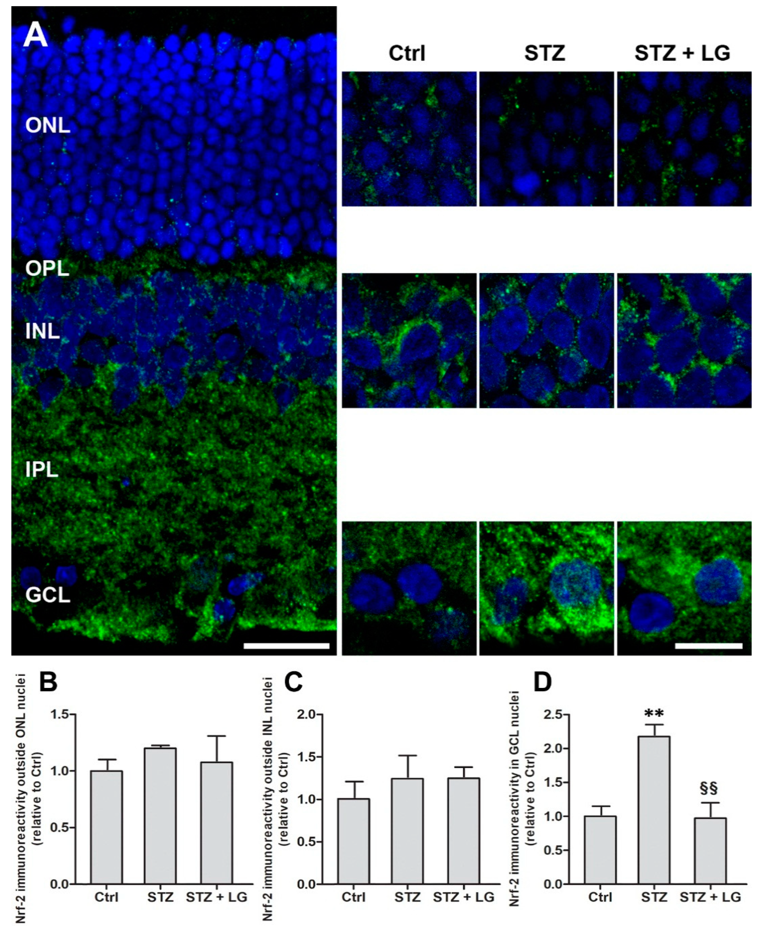Nutrients 10 01932 g010