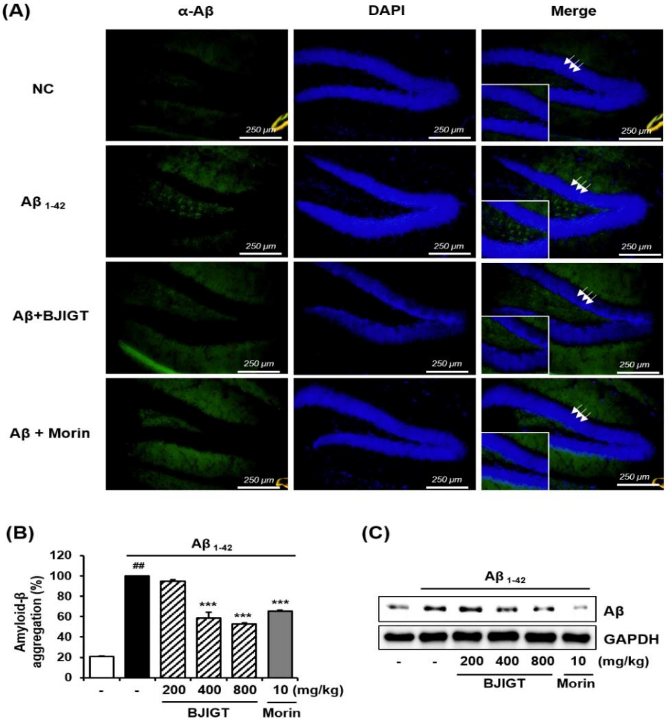 Nutrients 10 01952 g003 Nutrients 10 01952 g003