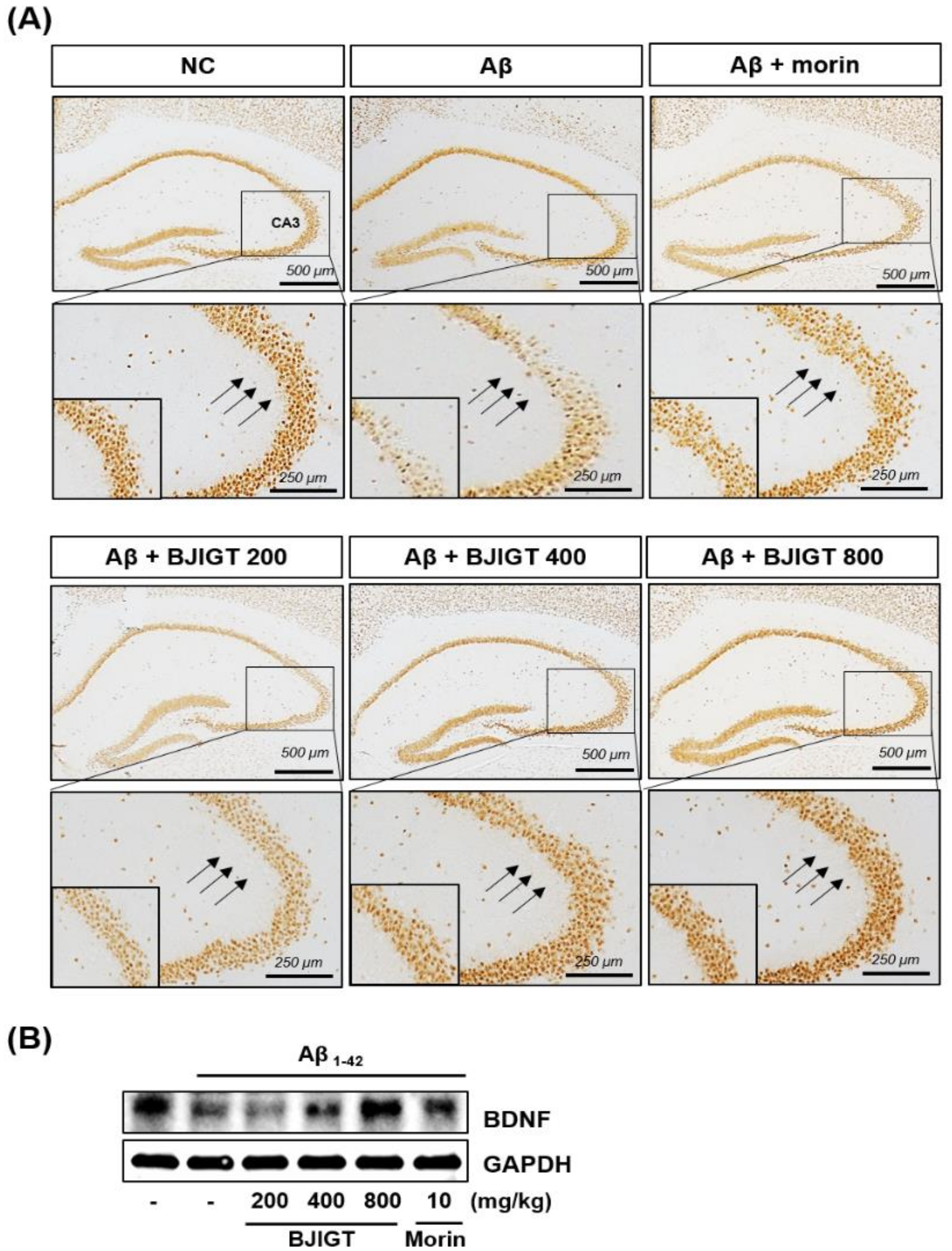 Nutrients 10 01952 g004 Nutrients 10 01952 g004
