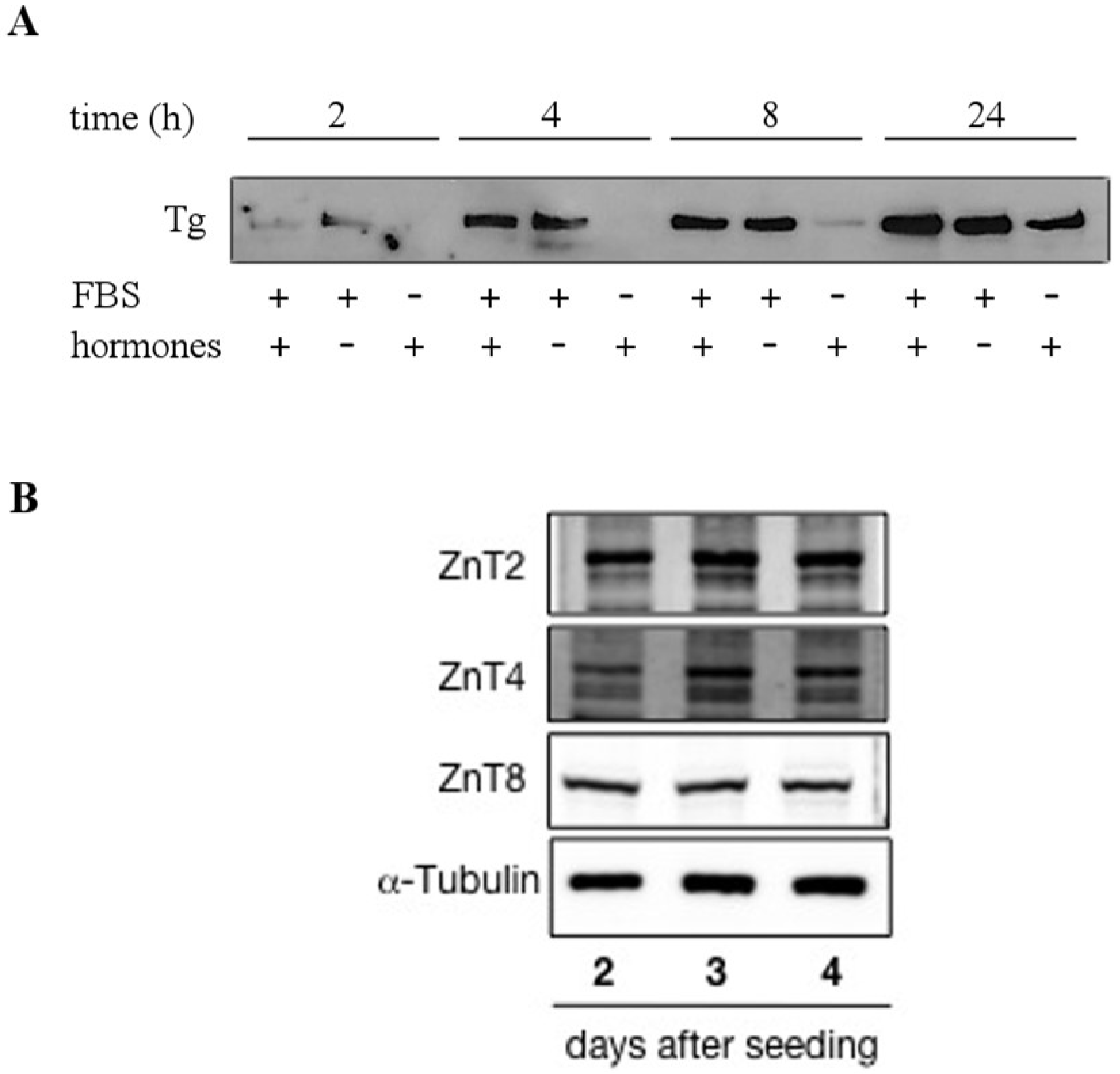 Nutrients 10 01981 g001