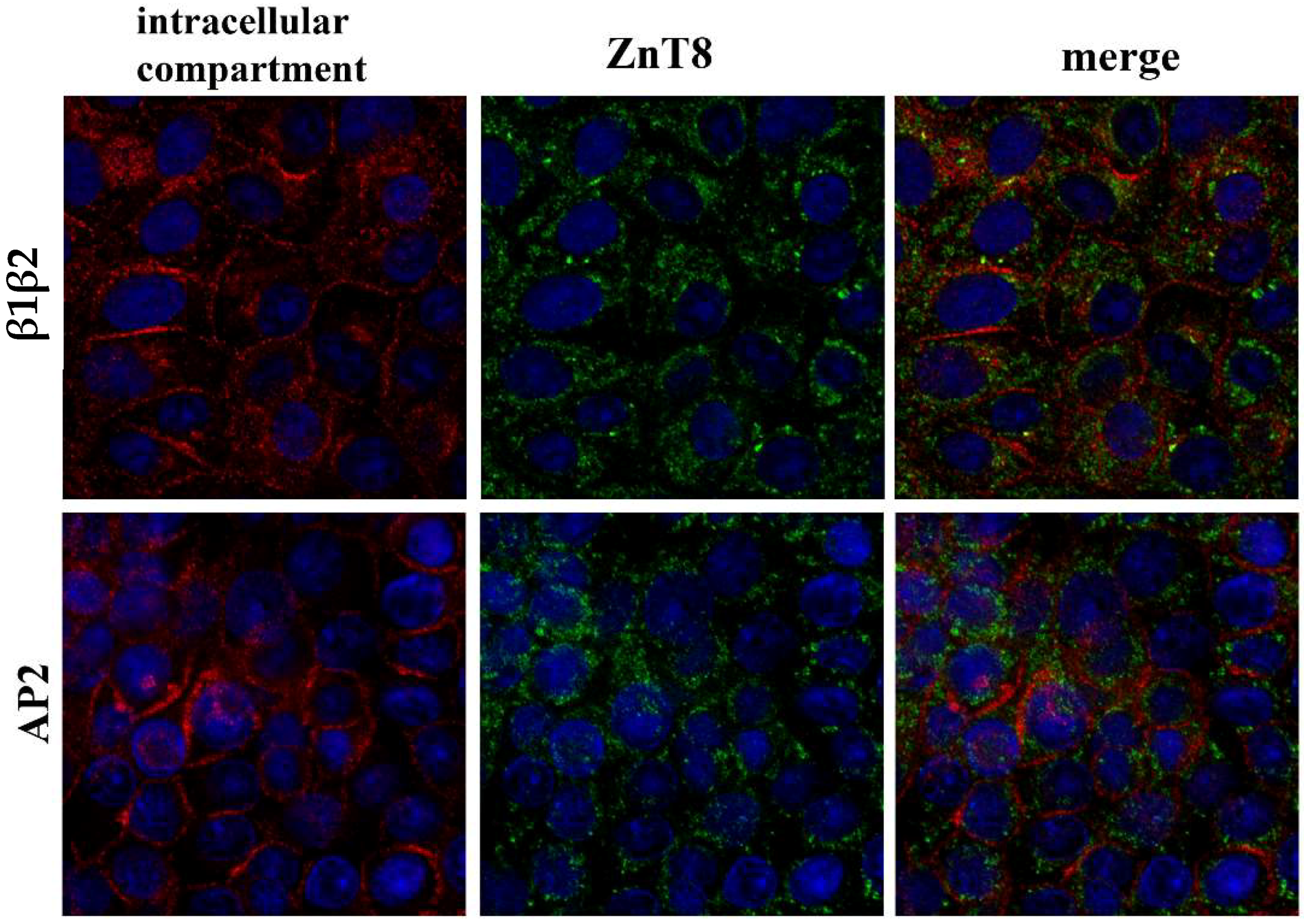 Nutrients 10 01981 g003a