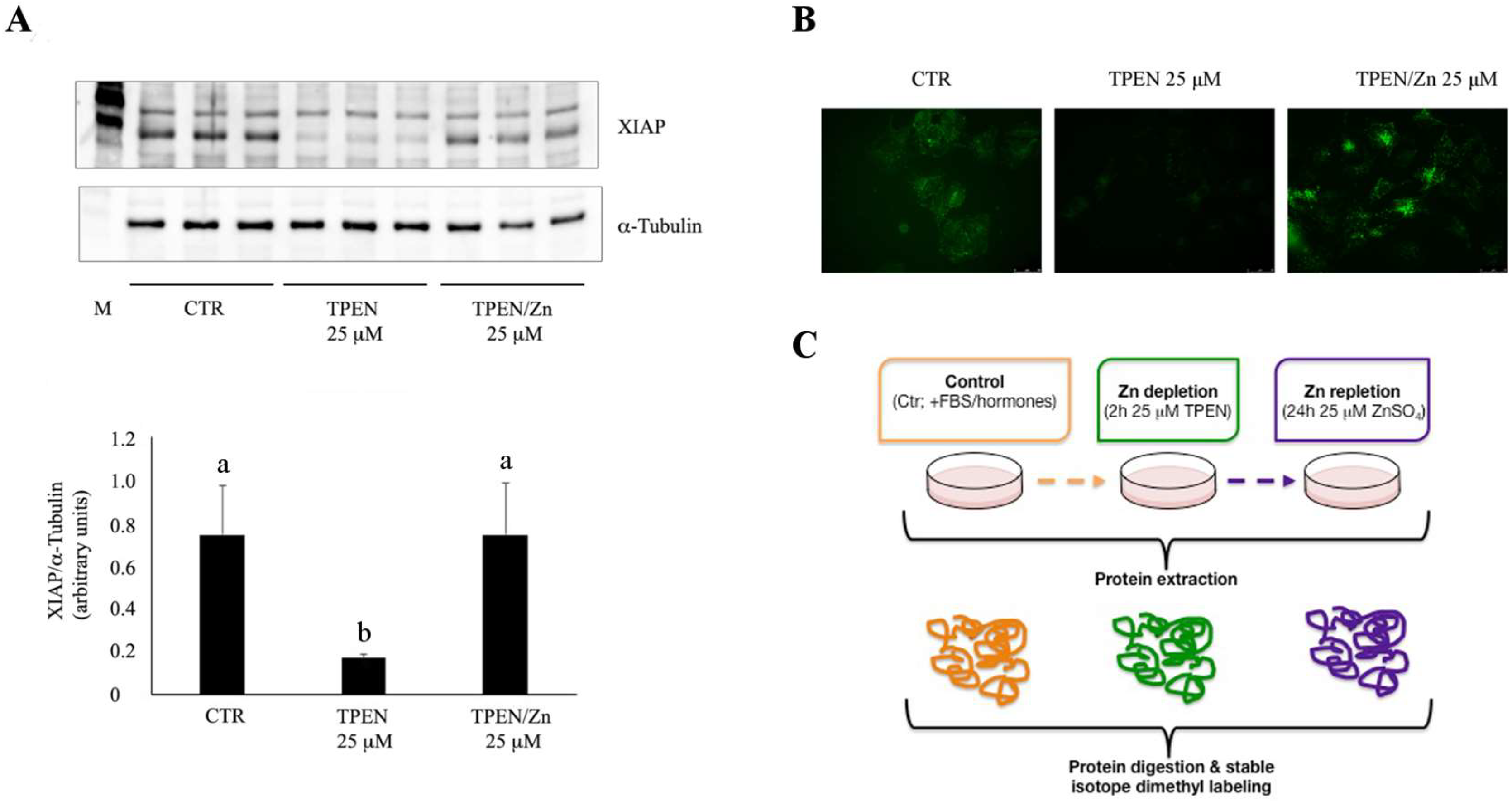Nutrients 10 01981 g005