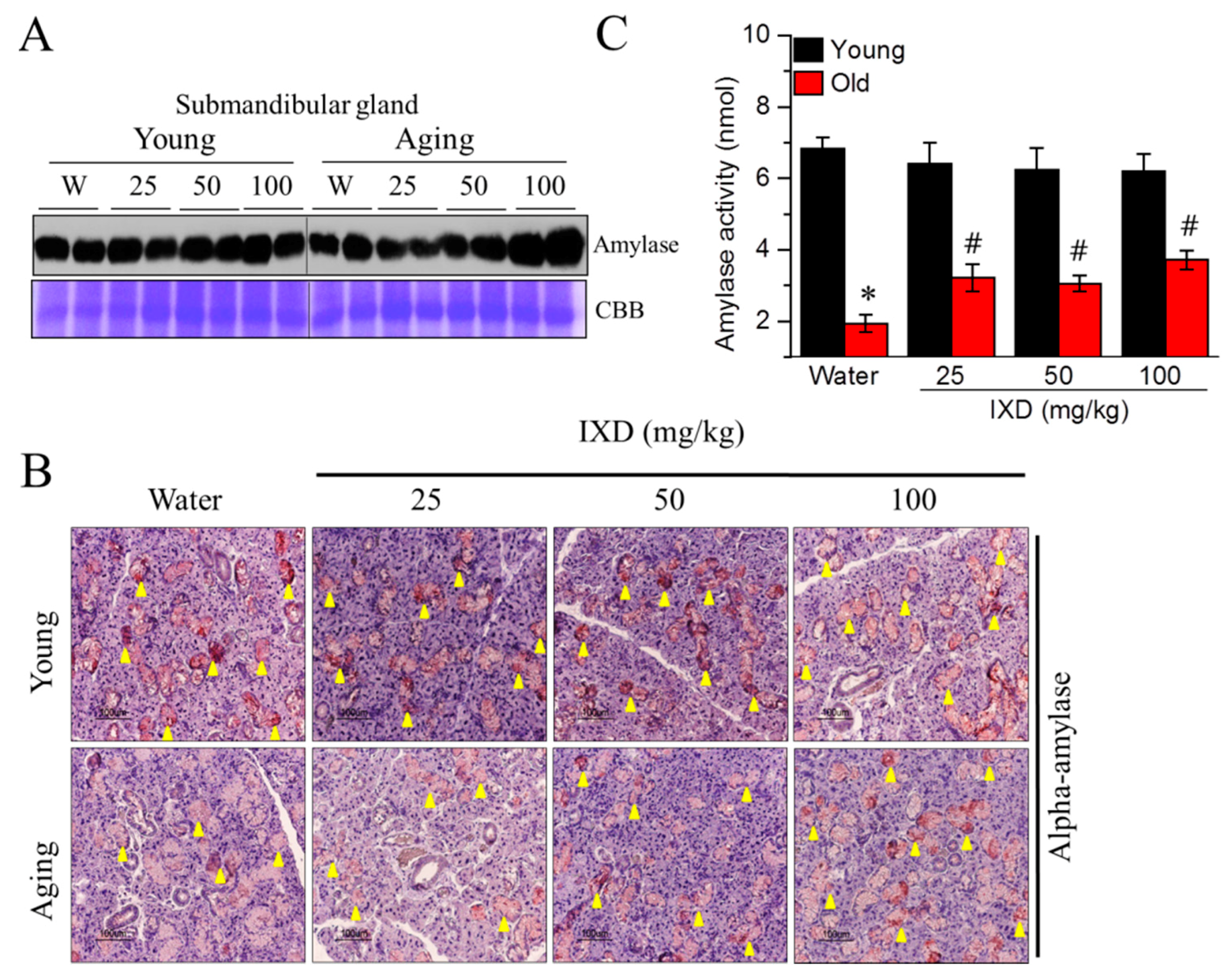 Nutrients 10 01989 g003