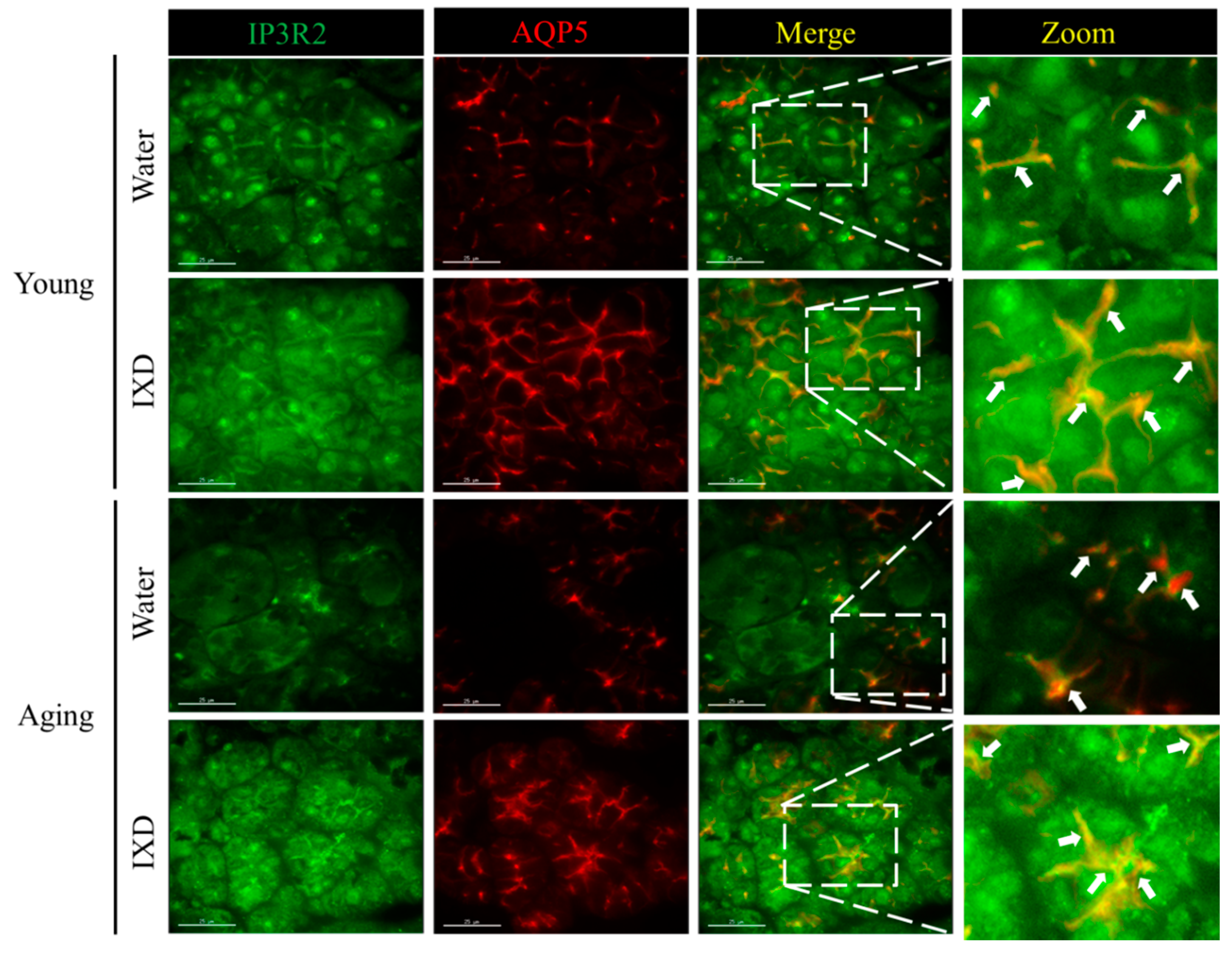 Nutrients 10 01989 g005