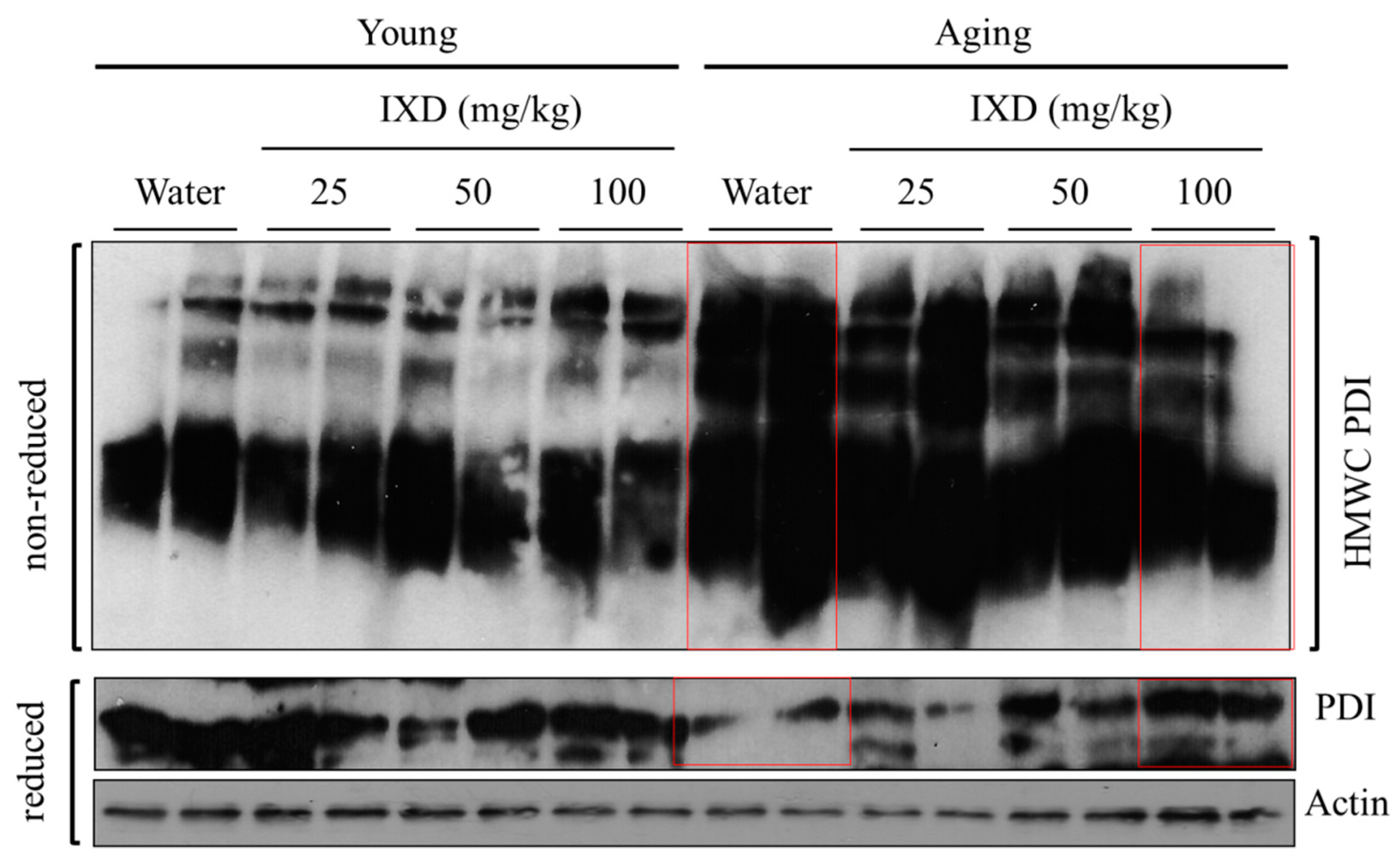 Nutrients 10 01989 g007