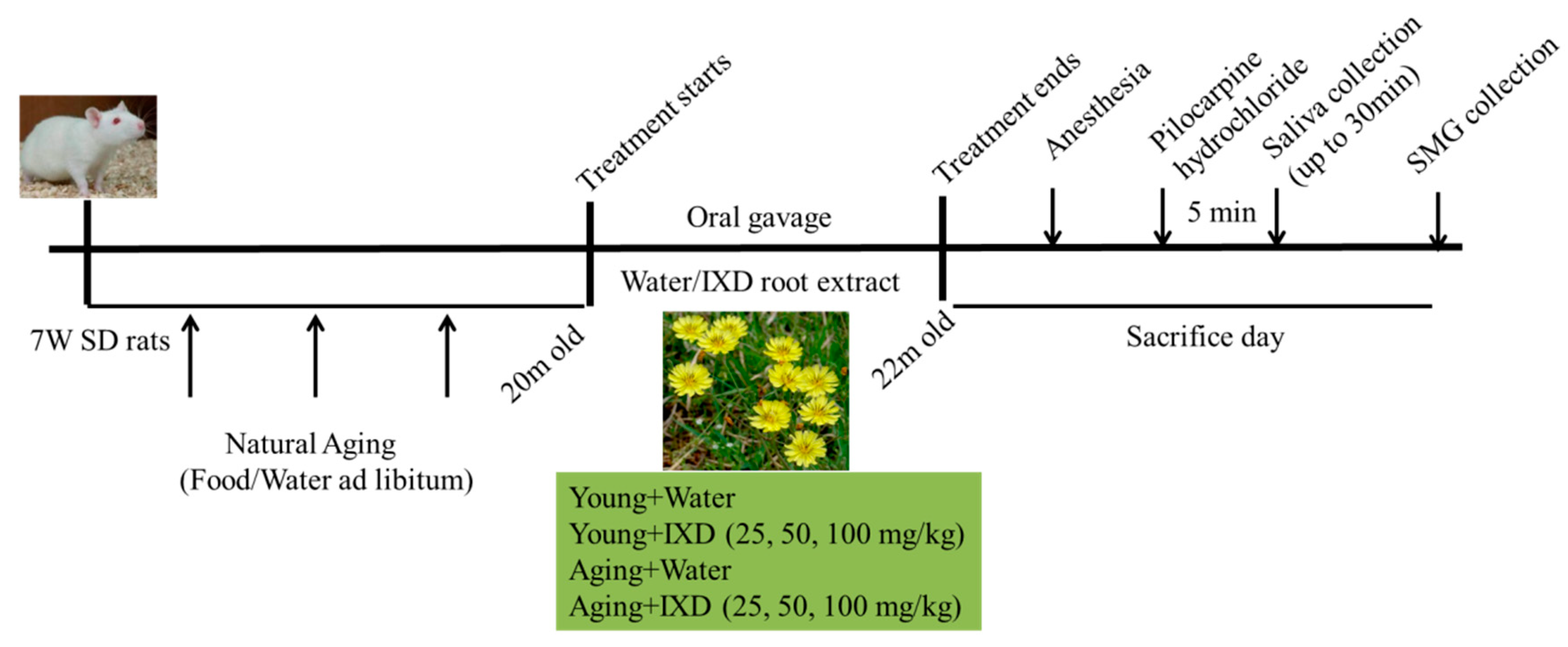 Nutrients 10 01989 g0a2