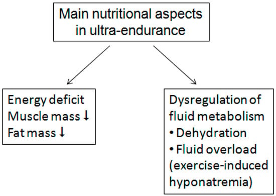 Forge baseball Særlig Nutrients | Free Full-Text | Nutrition in Ultra-Endurance: State of the Art  | HTML