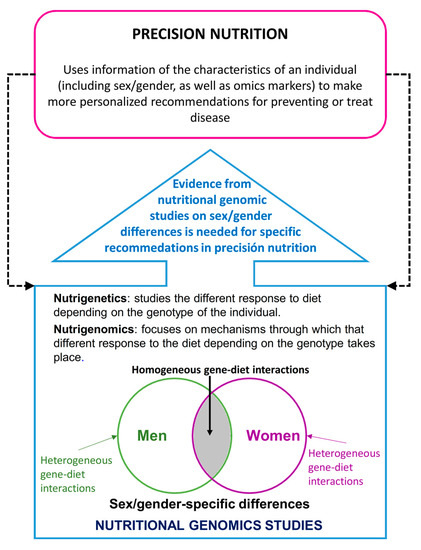 Nutrients Free Full Text A Guide To Applying The Sex Gender 