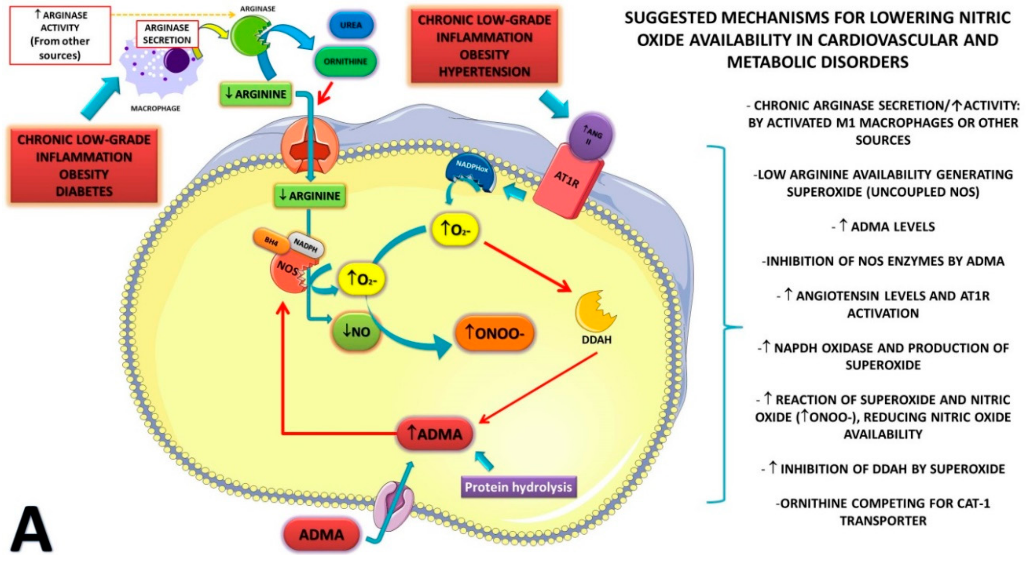 Nutrients 11 00015 g001a