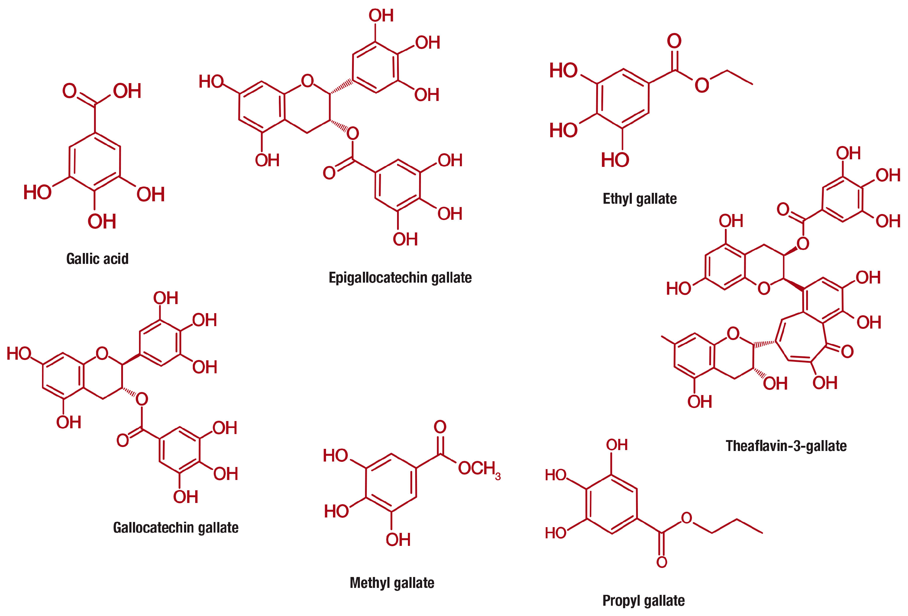 Nutrients 11 00023 g003