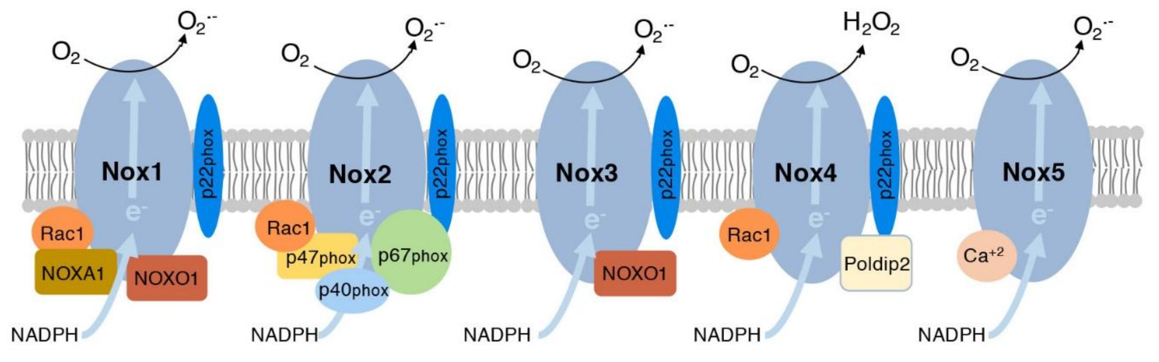 Nutrients 11 00053 g001