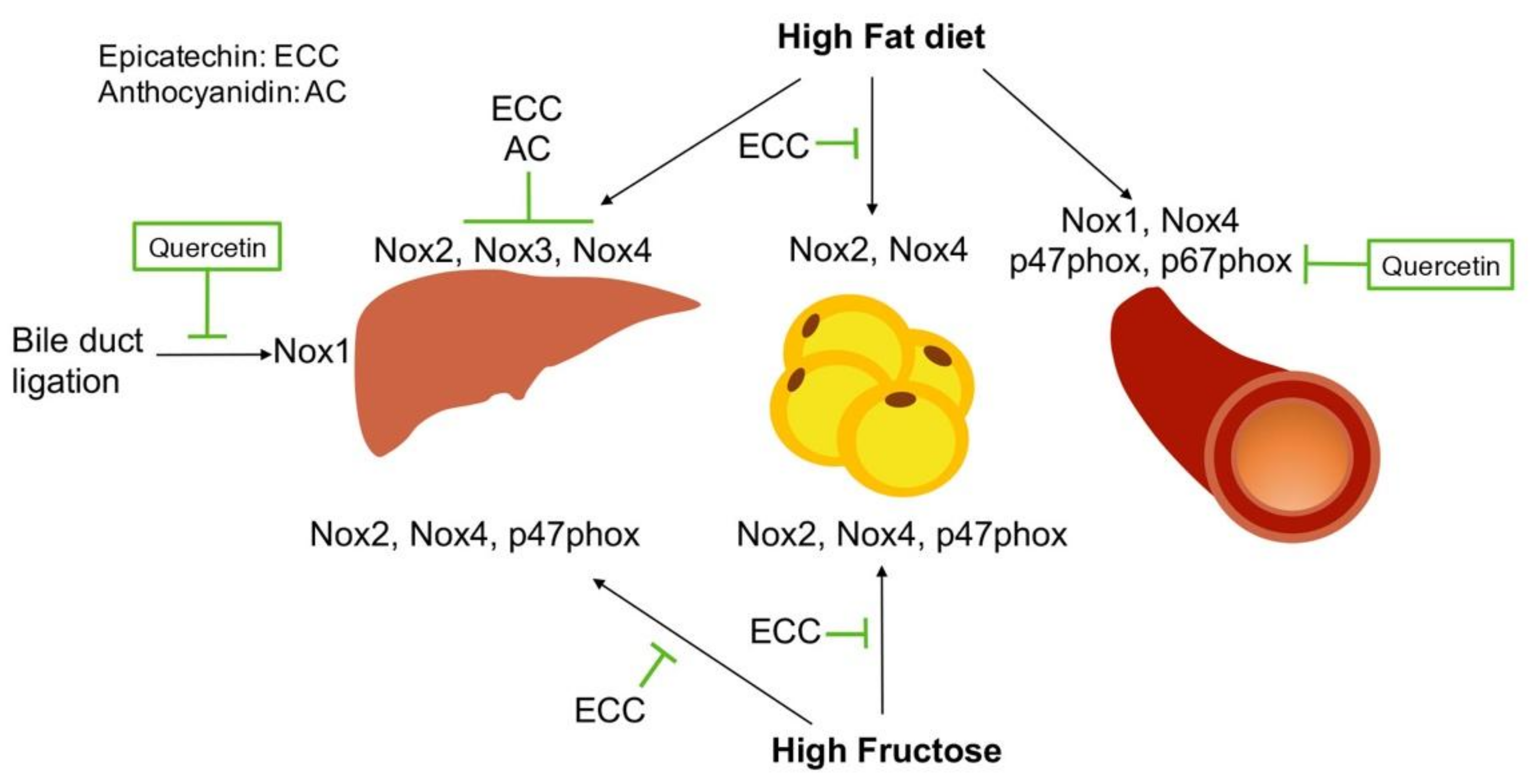 Nutrients 11 00053 g004
