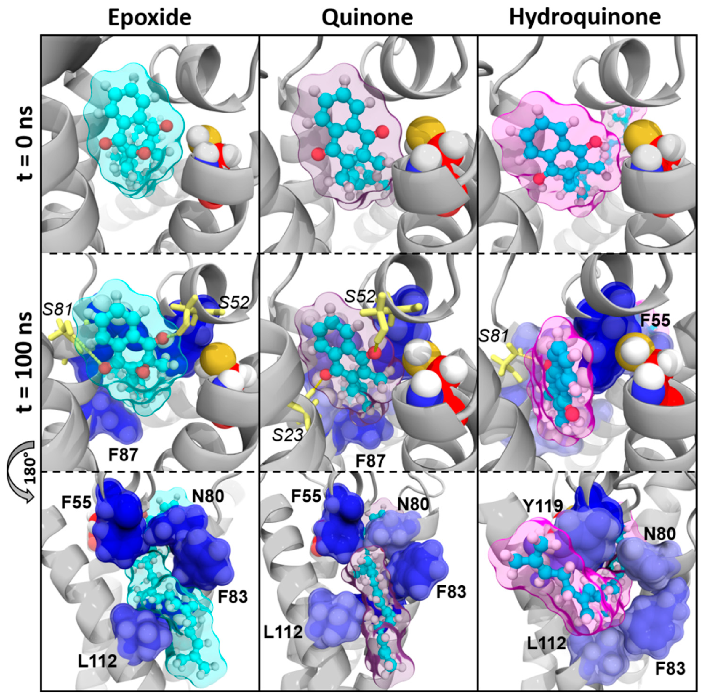 Nutrients 11 00067 g004