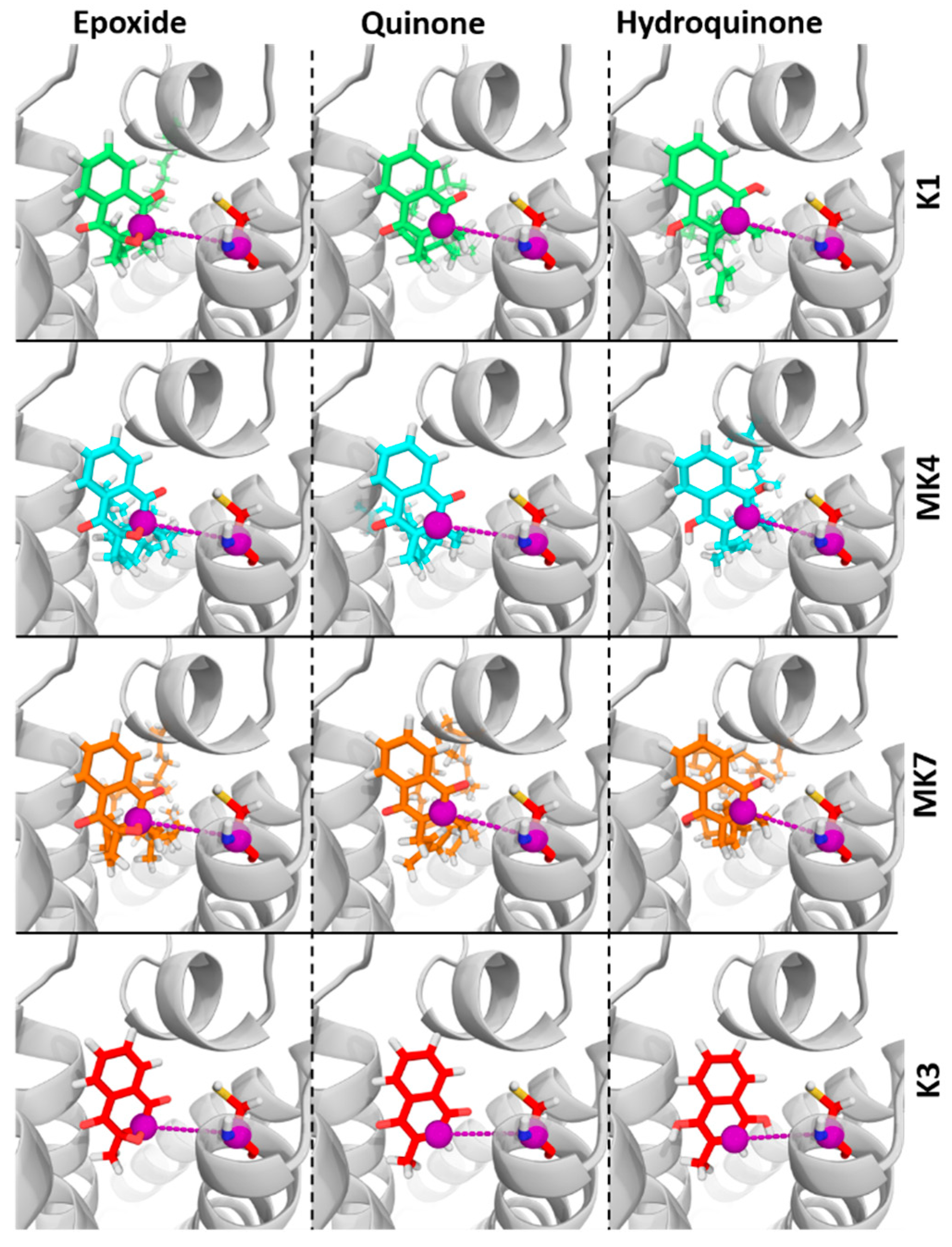Nutrients 11 00067 g0a2