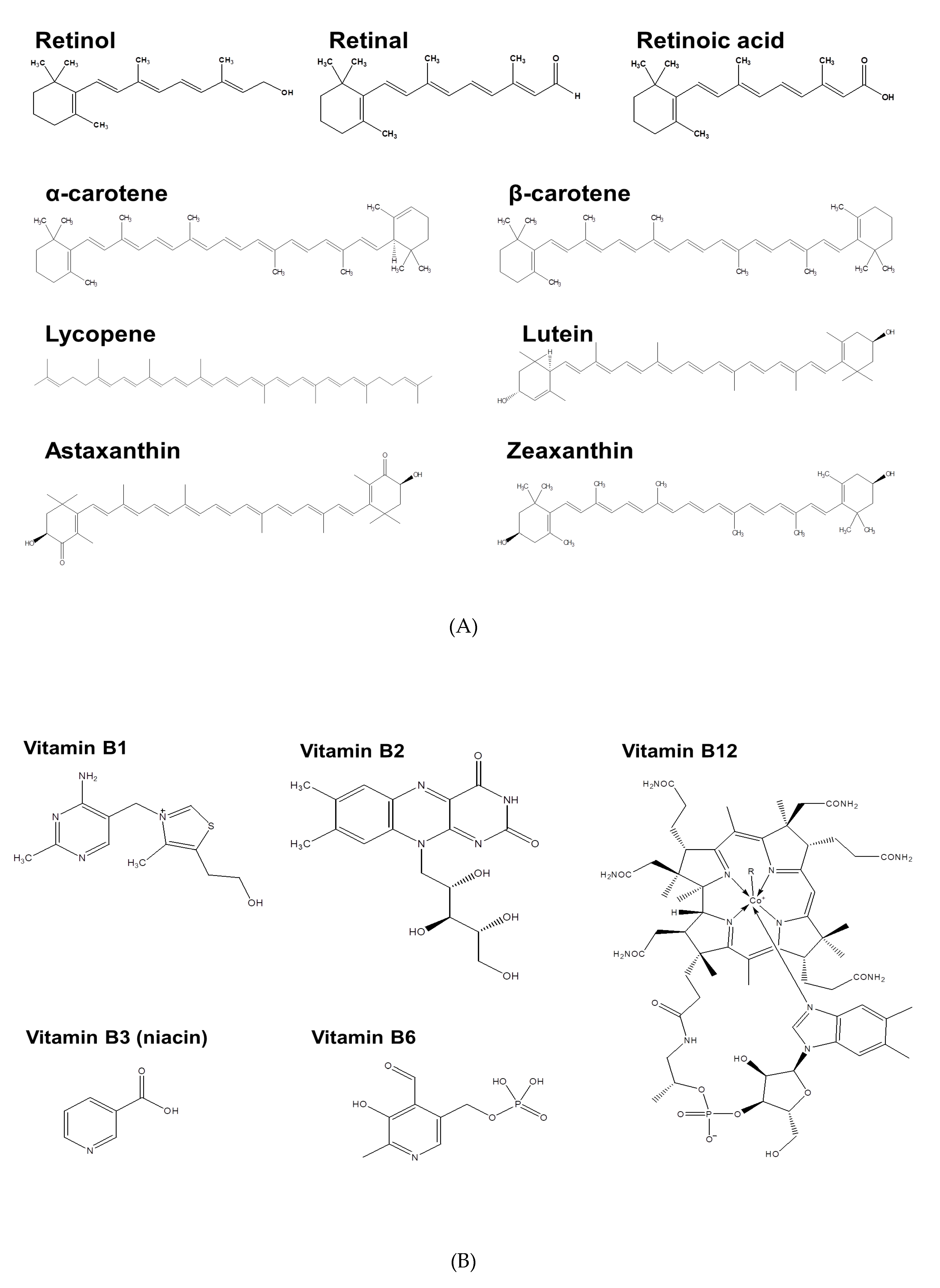 Nutrients Free Full Text Use Of Lipid Nanocarriers To