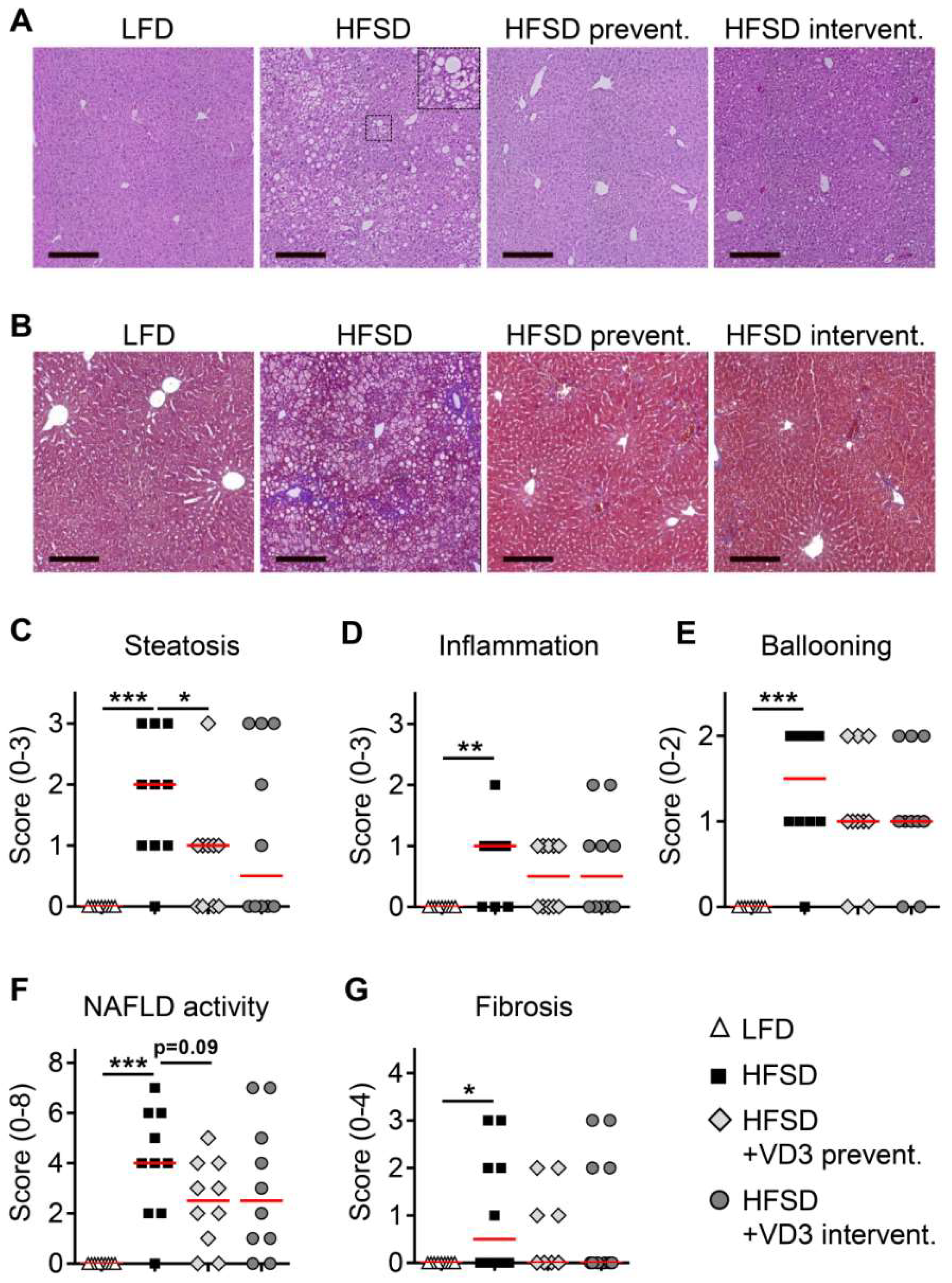 Nutrients 11 00077 g002 Nutrients 11 00077 g002