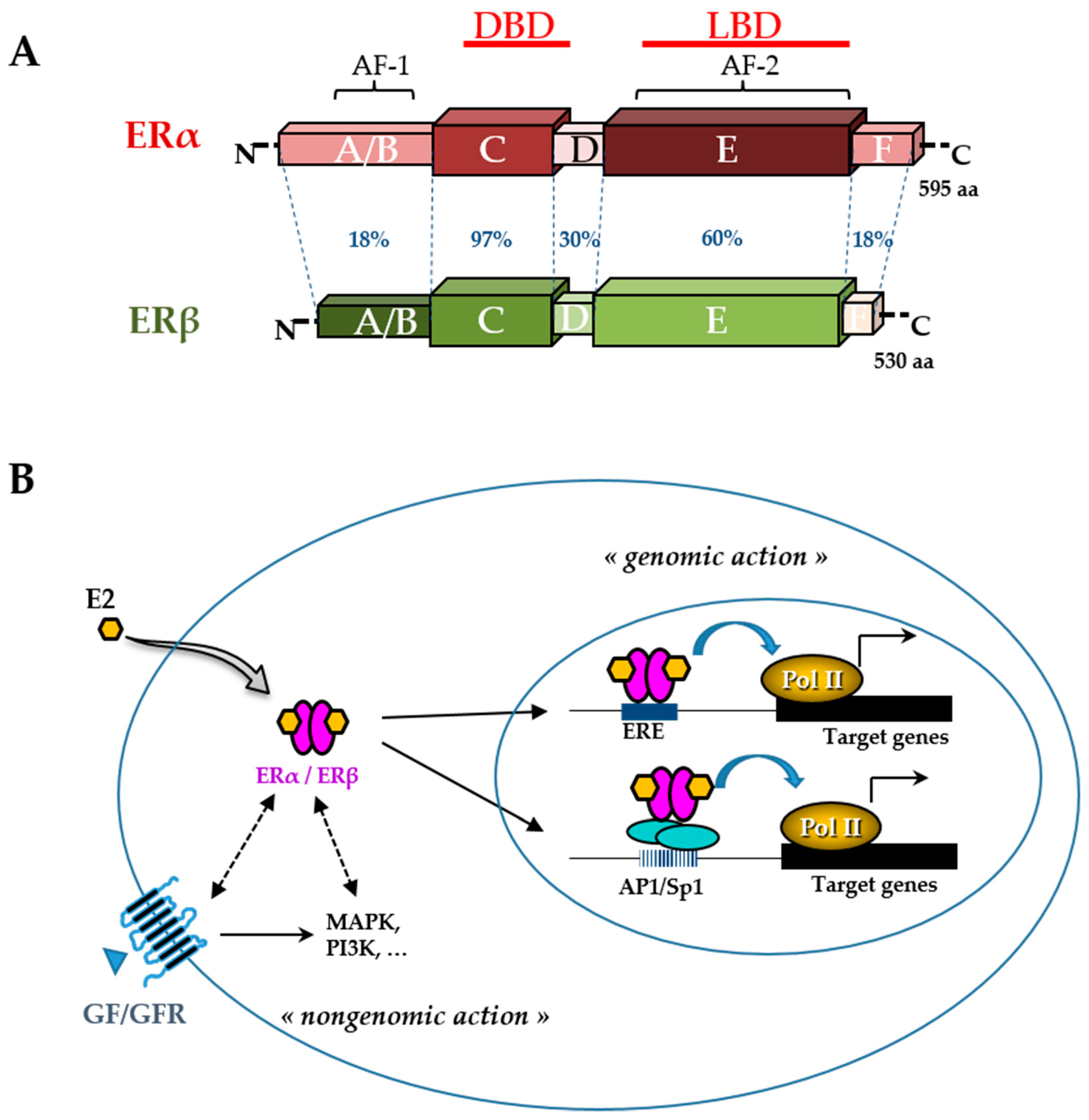 Nutrients Free Full Text An Update On The Effects Of Glyceollins On Human Health Possible Anticancer Effects And Underlying Mechanisms Html Nutrients Free Full Text An Update On The Effects Of Glyceollins On Human Health Possible Anticancer Effects And Underlying Mechanisms Html
