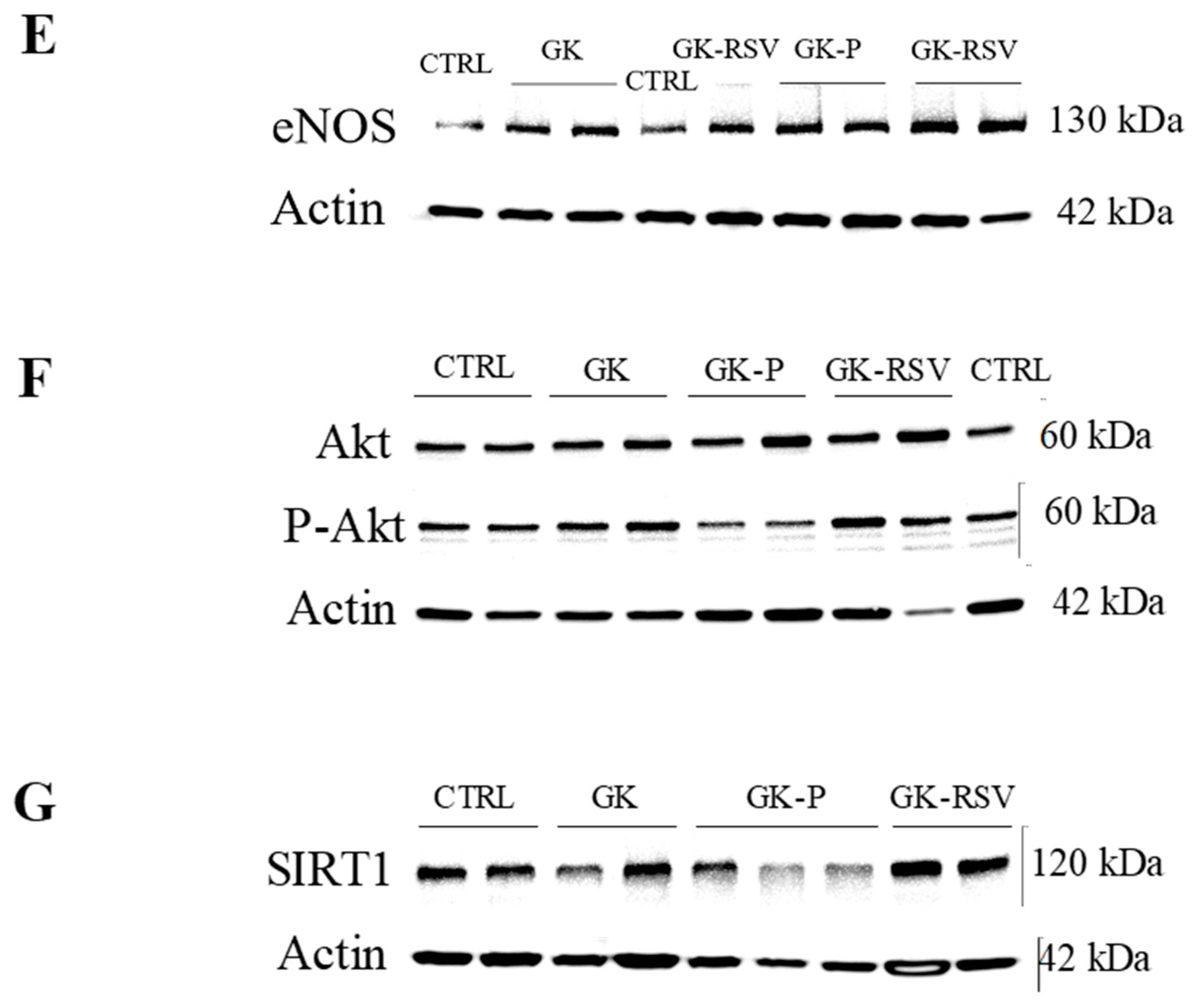 Nutrients 11 00105 g005b Nutrients 11 00105 g005b