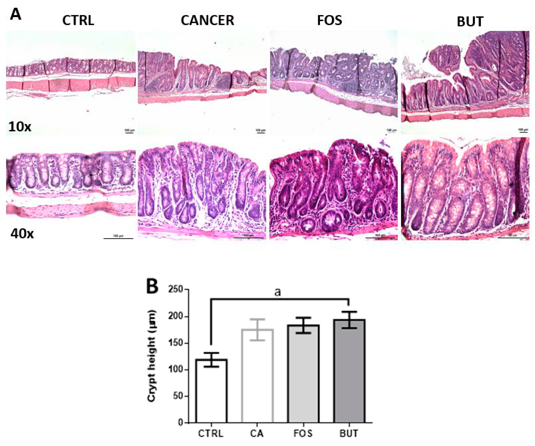 Nutrients 11 00110 g007