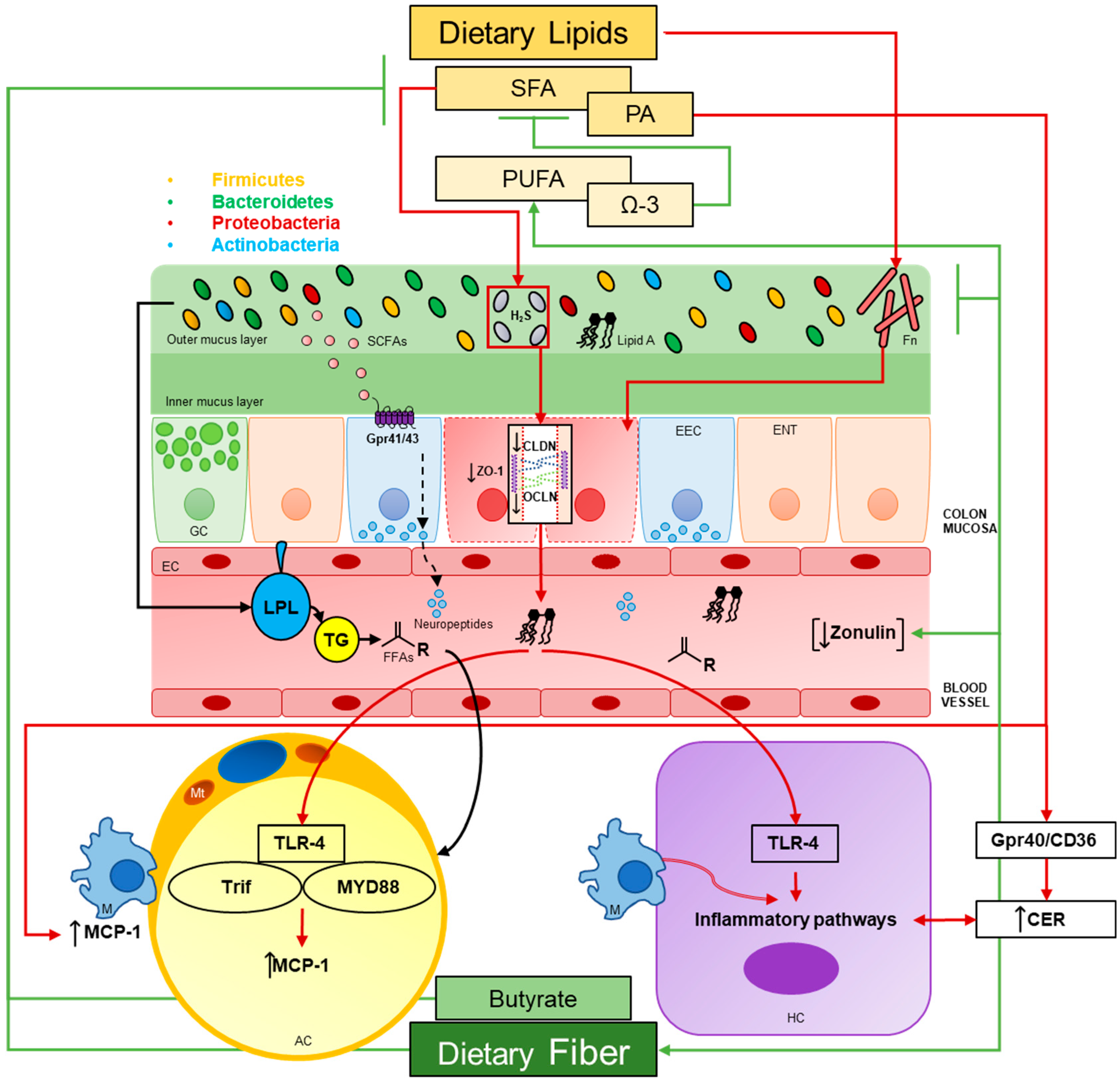 Nutrients 11 00117 g001
