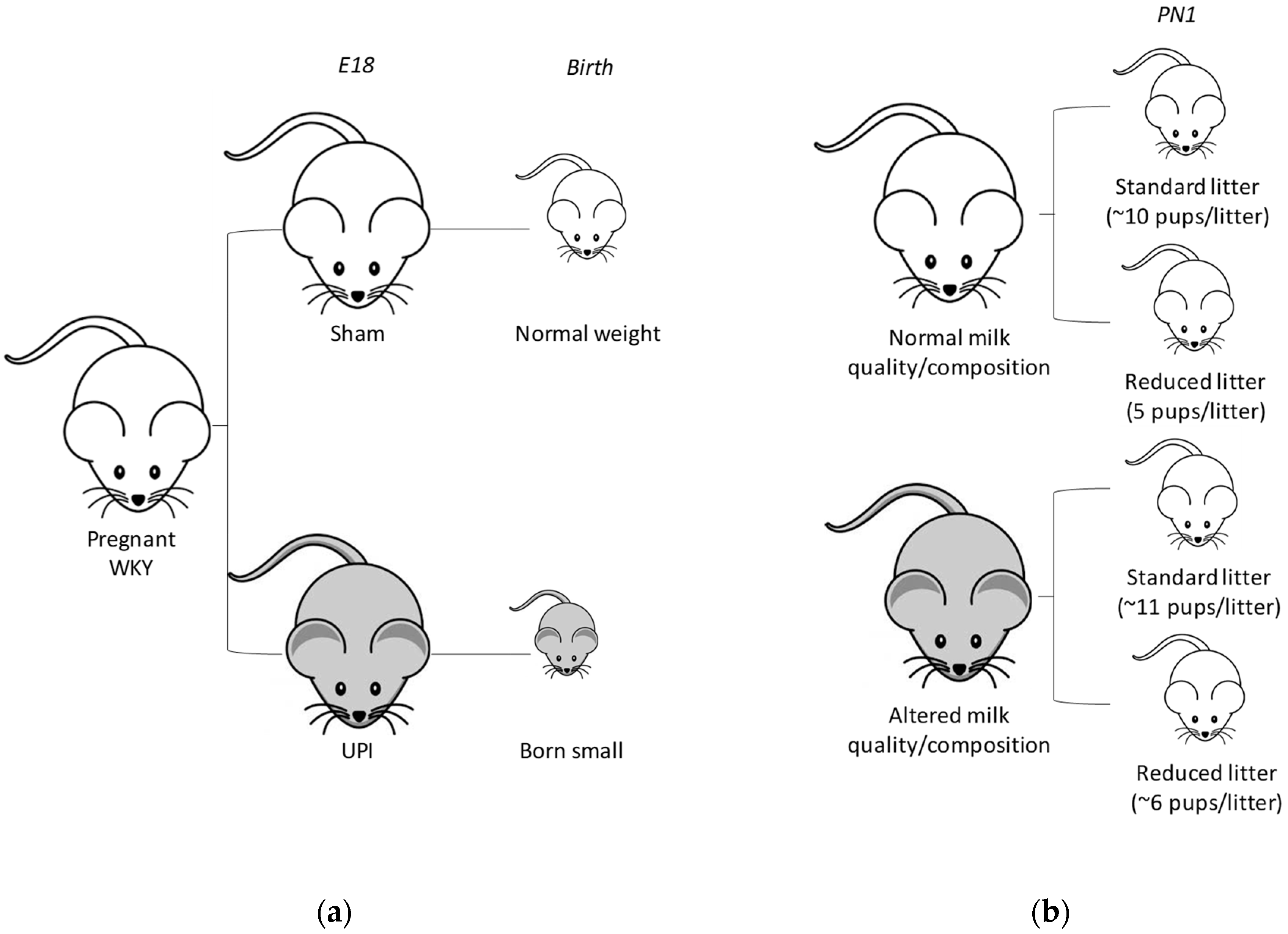 Nutrients 11 00118 g001 Nutrients 11 00118 g001