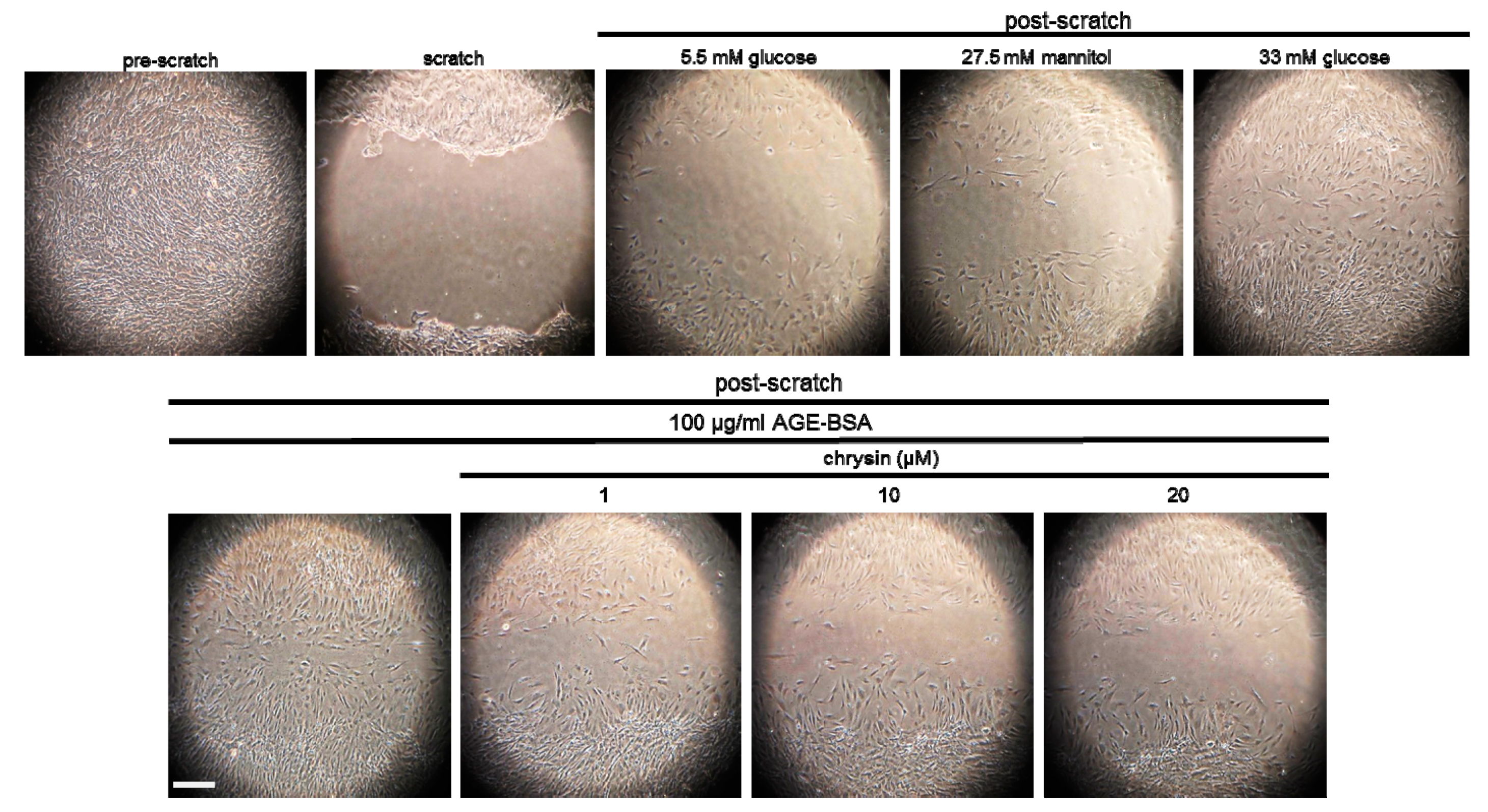 Nutrients 11 00127 g004