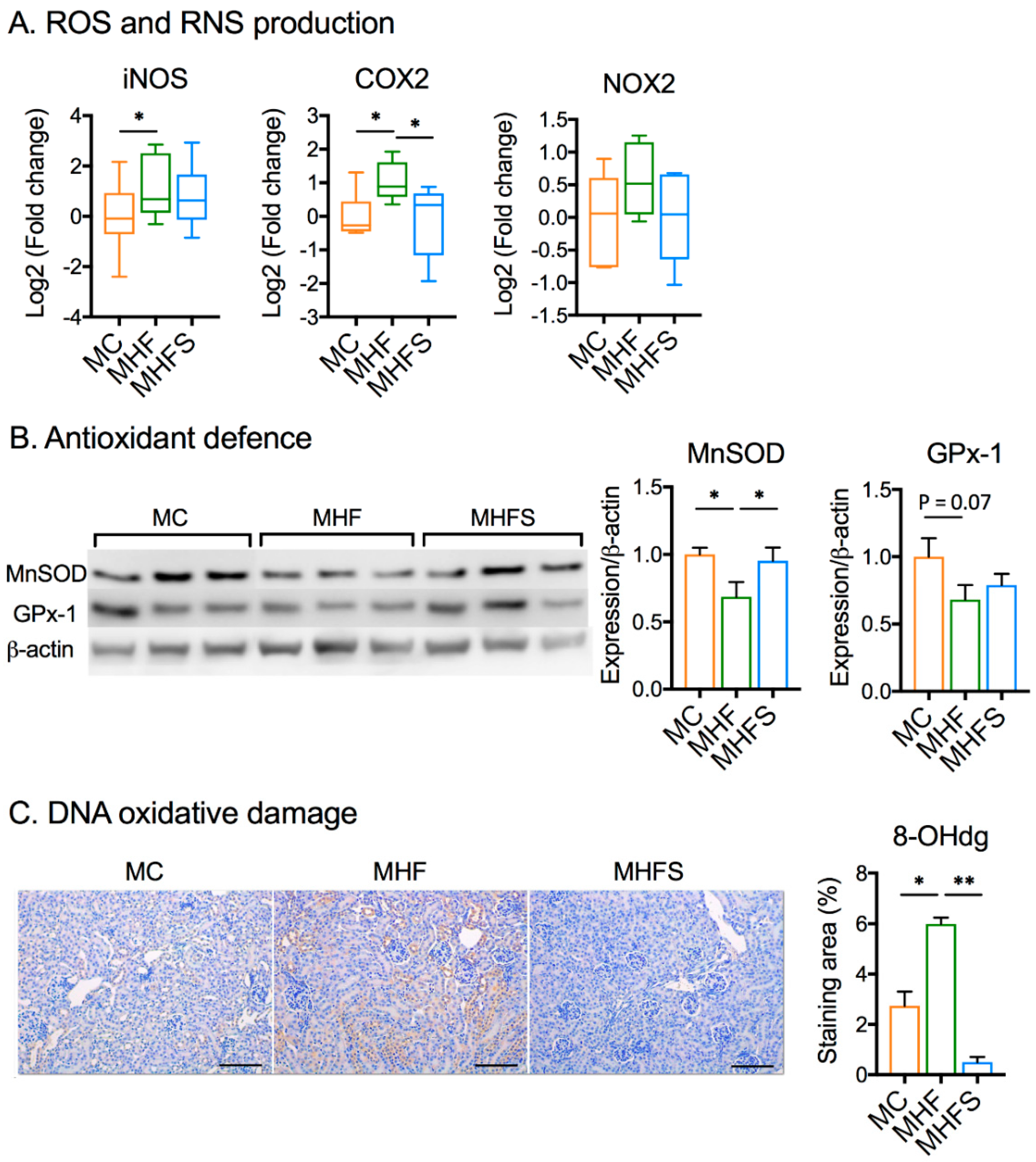 Nutrients 11 00146 g003