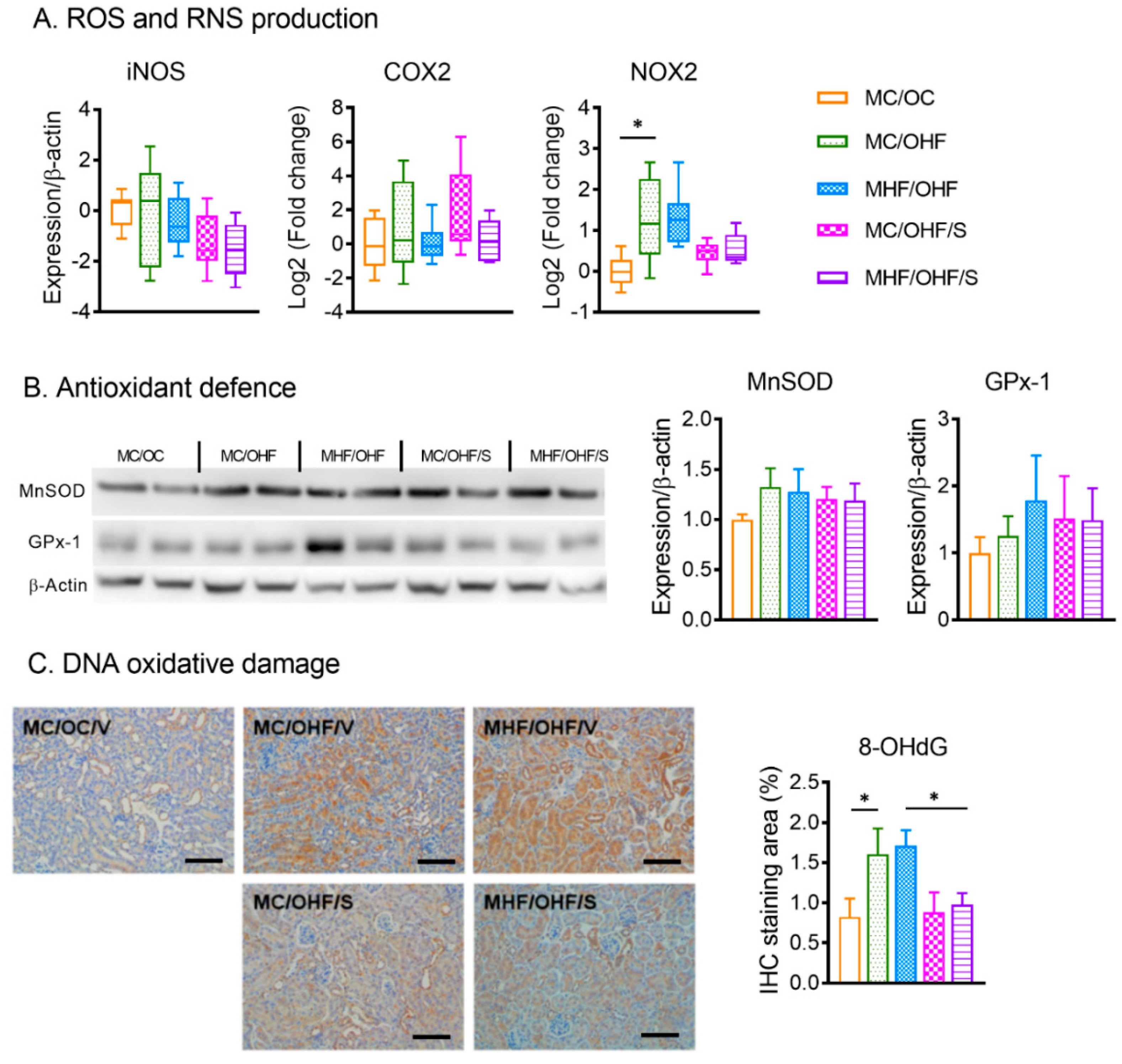 Nutrients 11 00146 g006