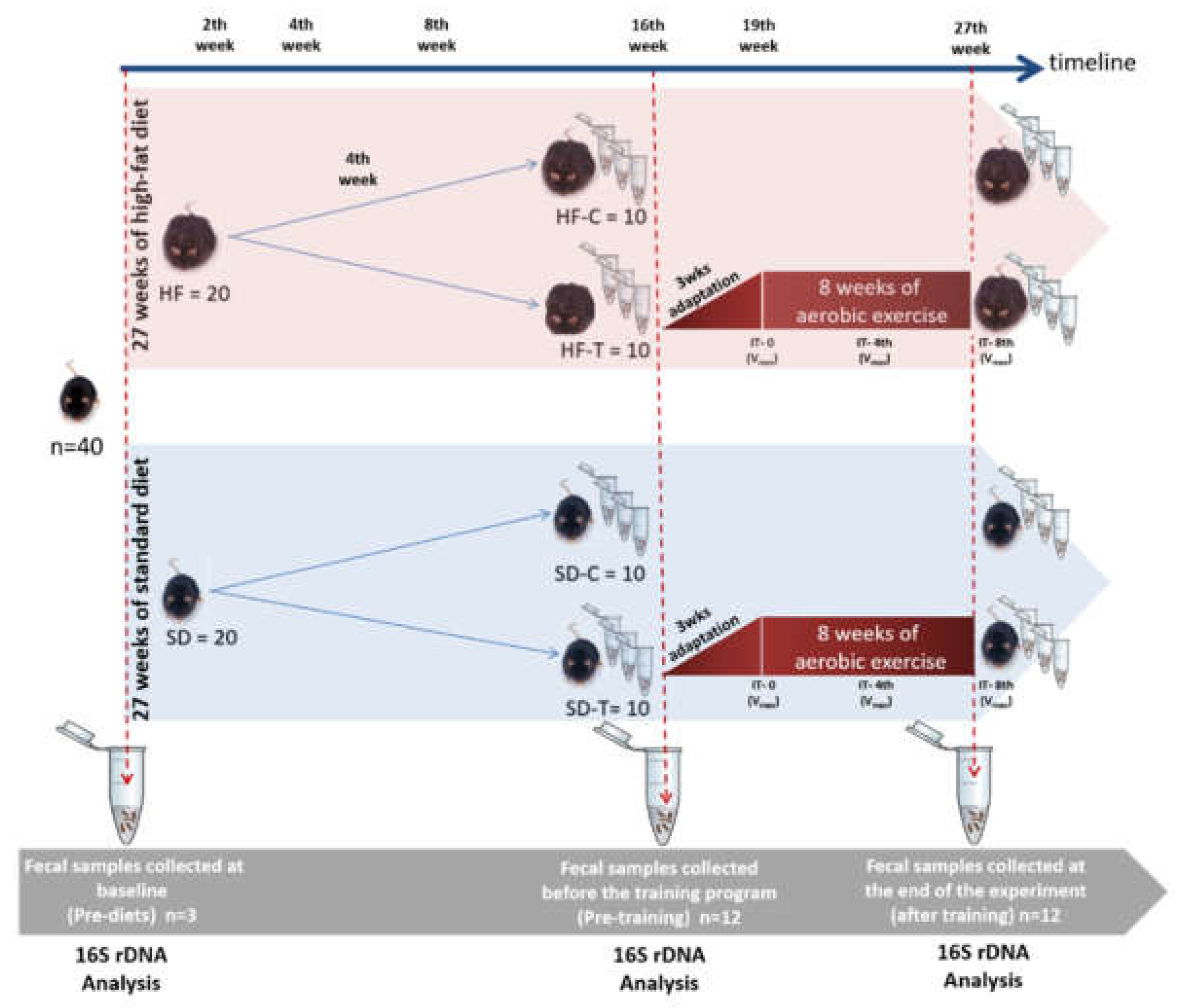 Nutrients 11 00149 g001