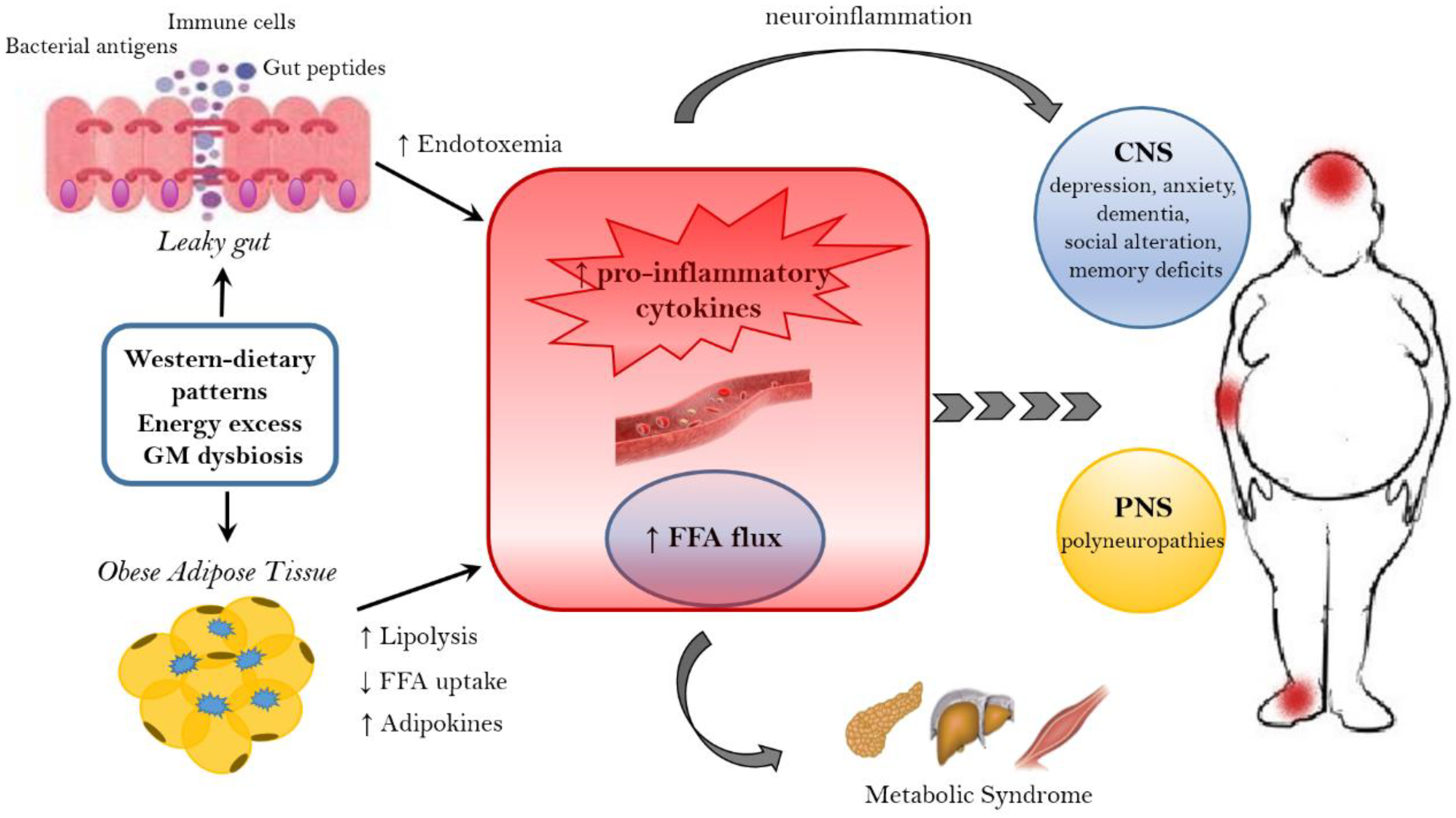 Nutrients Free Full Text The Gut Brain Axis in the