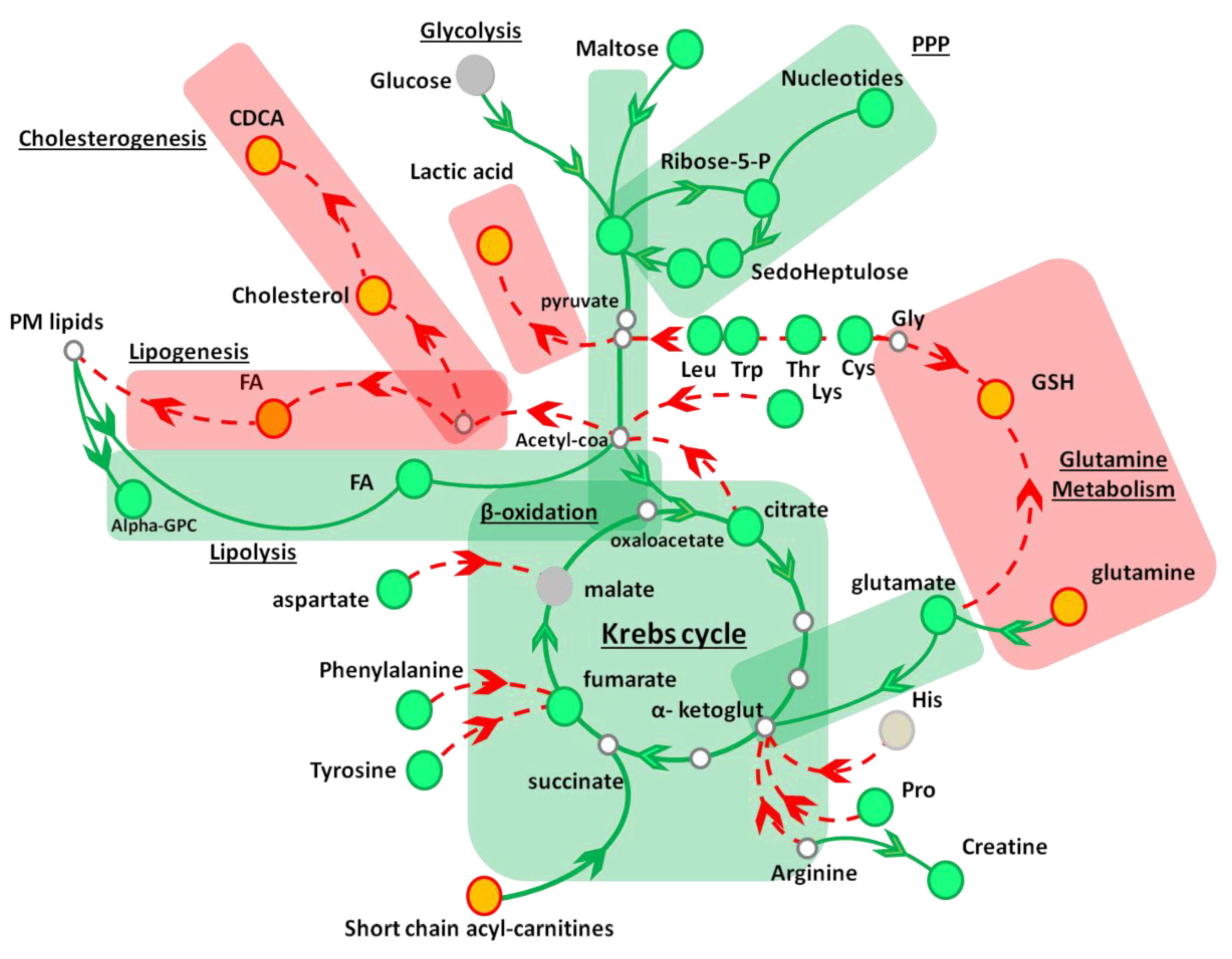 Nutrients 11 00163 g003