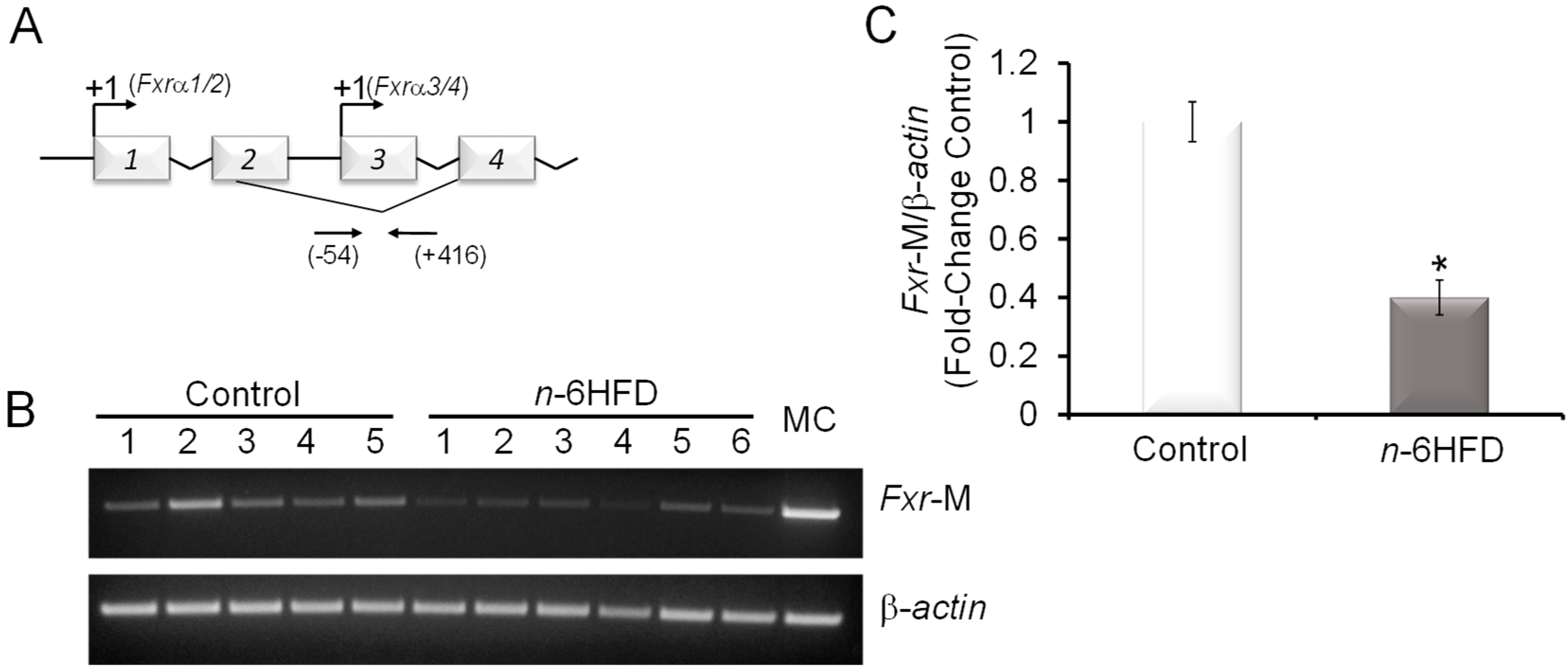 Nutrients 11 00171 g002